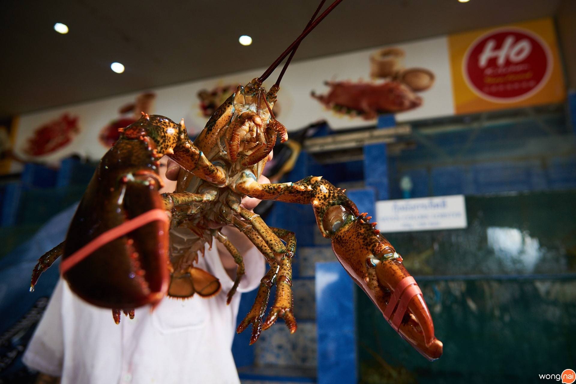 Ho Kitchen Seafood