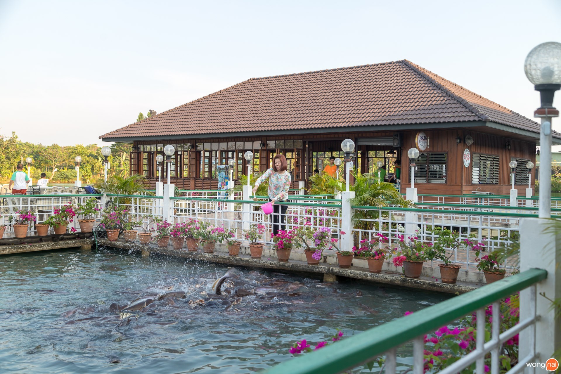 กลางร้านมีที่ให้อาหารปลาสวายตัวโต ๆ