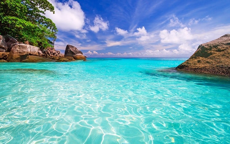 ร้าน ยอดนิยม ใน เกาะสิมิลัน