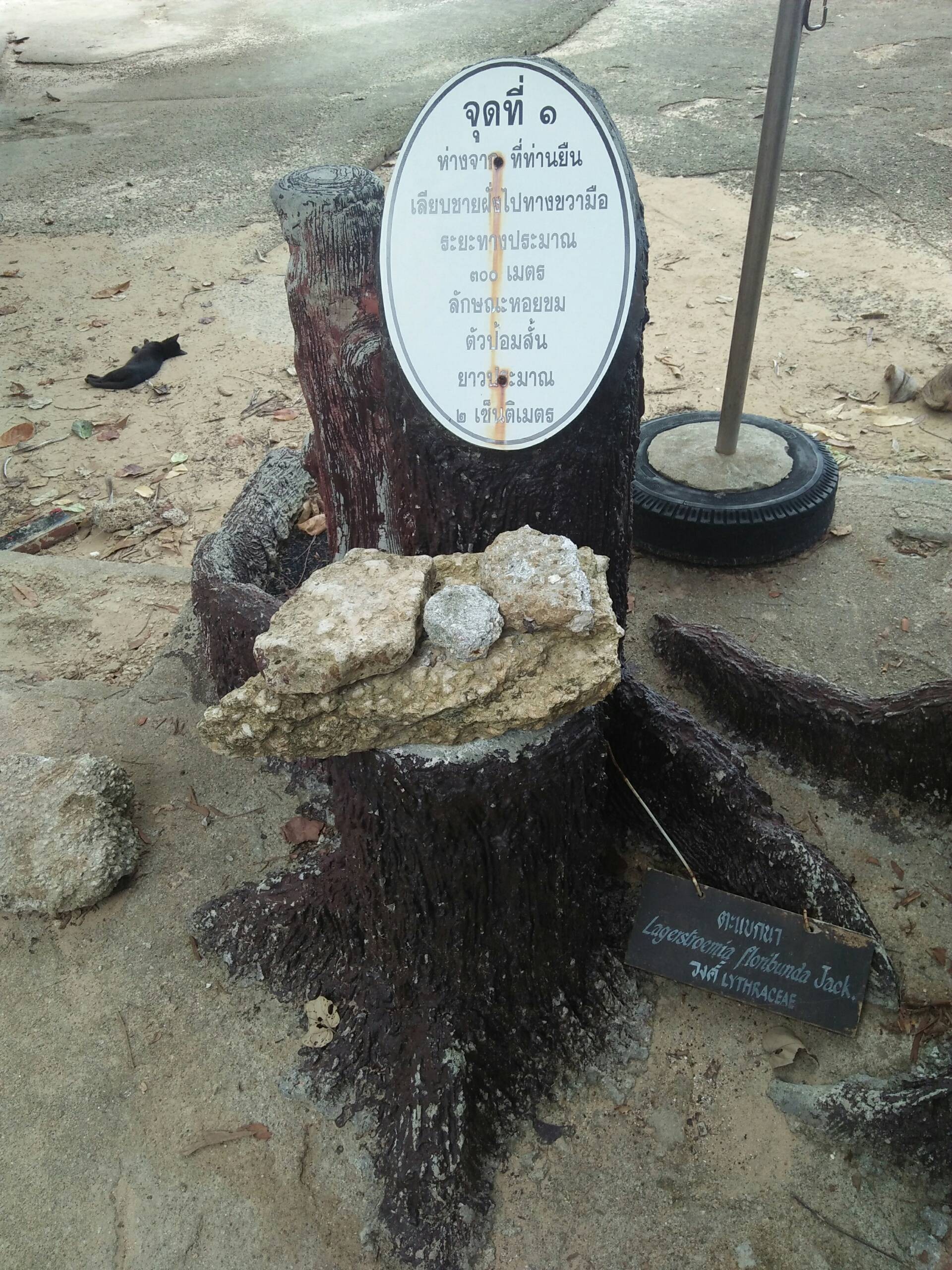 สุสานหอย (Fossil Shell Cemetery Krabi) รีวิวสถานที่ท่องเที่ยว
