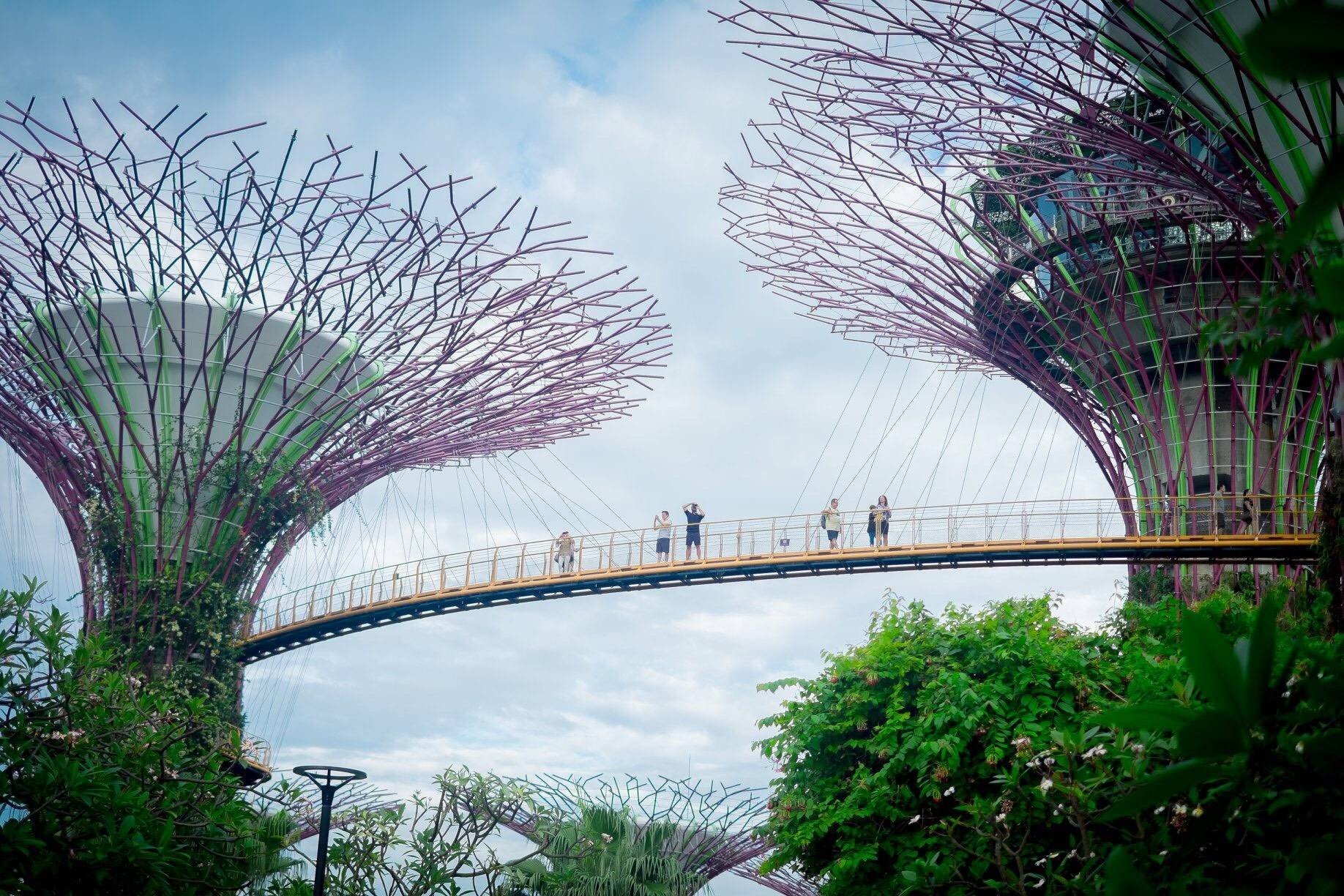 รีวิว Gardens by the Bay ตอนกลางวันก็ยังสวย Wongnai