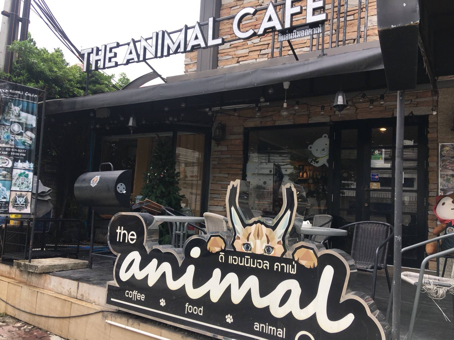 ร้าน The animal Cafe | รีวิวร้านอาหาร - Wongnai