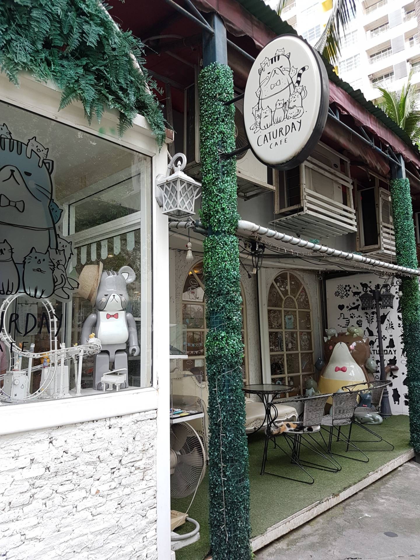 รีวิว Caturday cat cafe - คาเฟ่แมว แถวราขเทวี