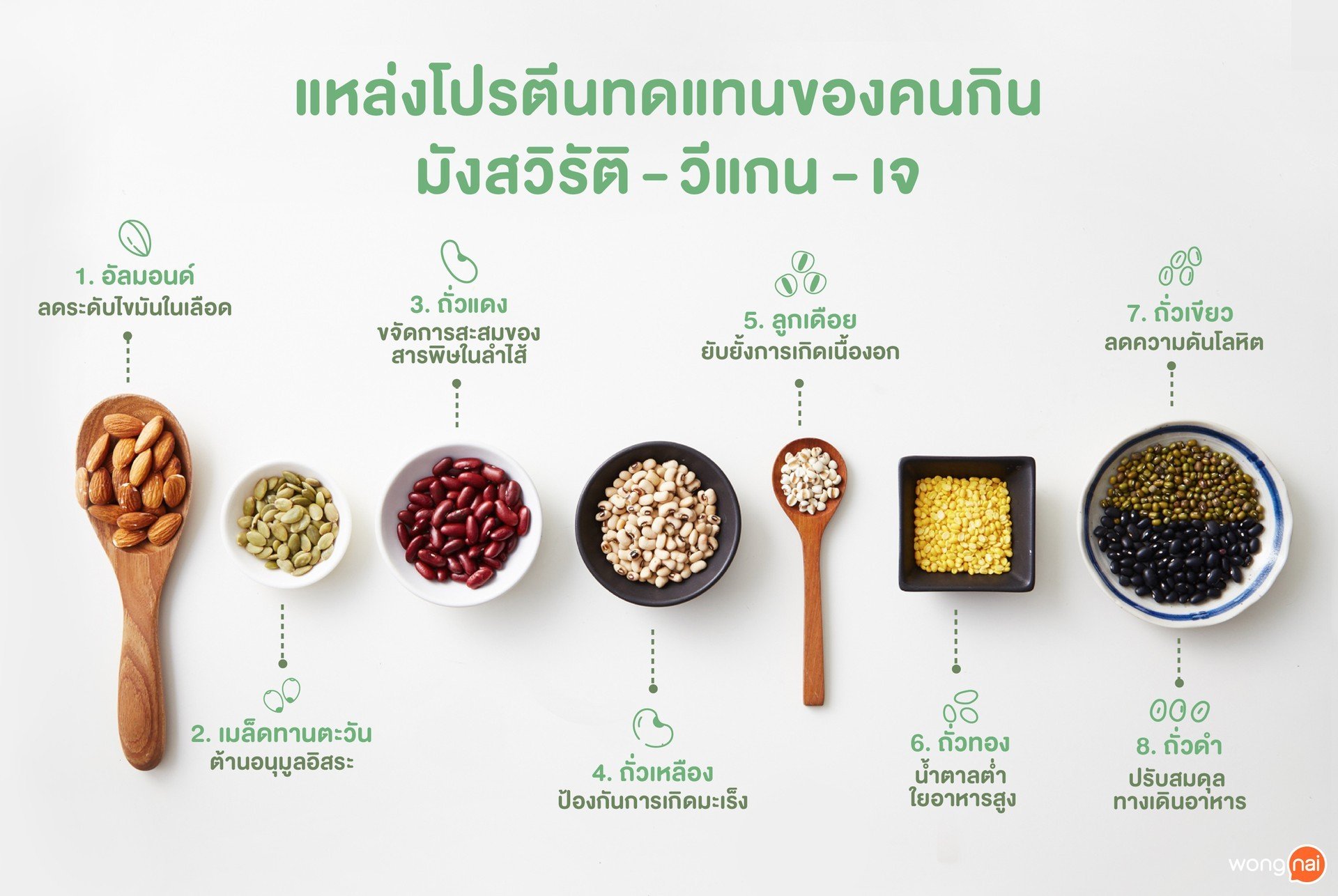 แหล่งโปรตีนทดแทน ของคนกินมังสวิรัติ - วีแกน - เจ