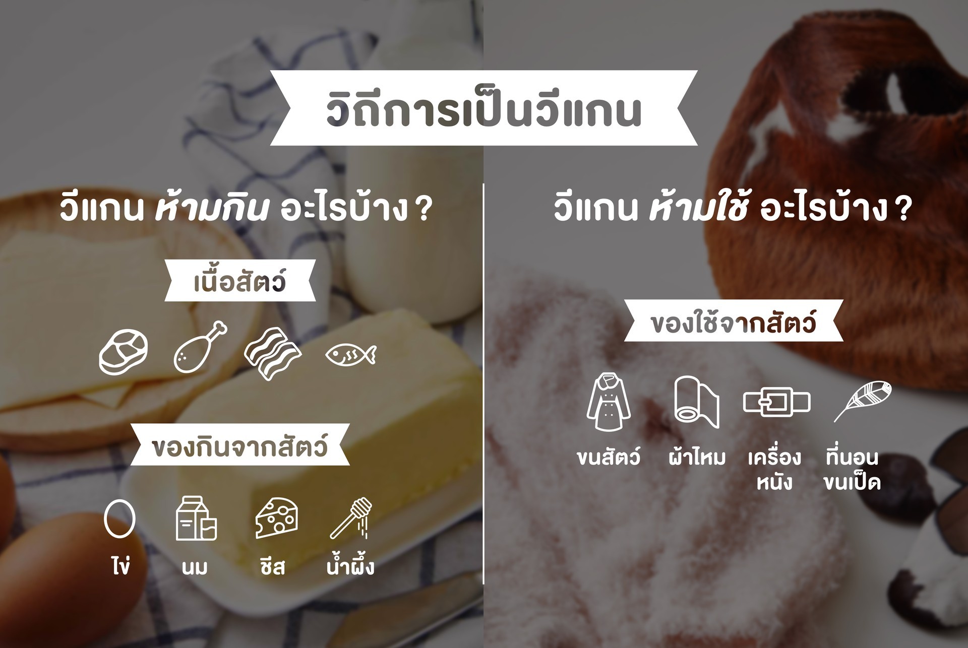 วิถีการเป็น “วีแกน”