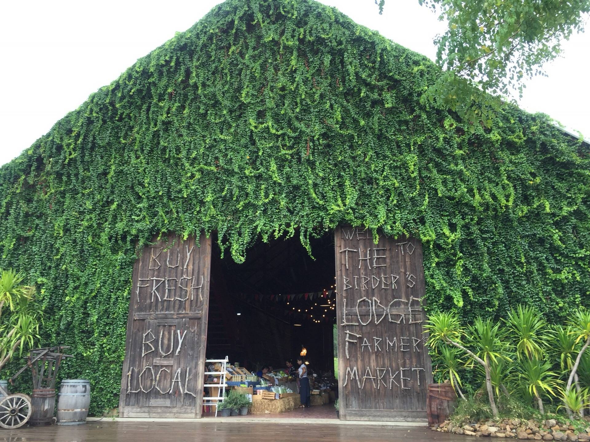 the-birder-s-lodge-cafe-bl-cafe-grill