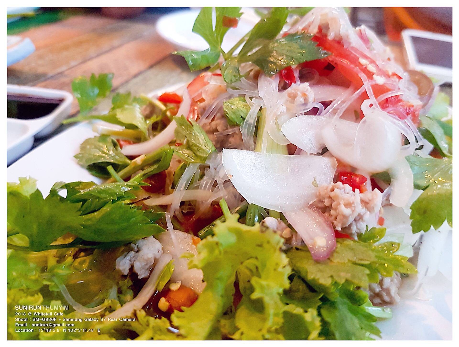 ร้าน Whitetail Cafe รีวิวร้านอาหาร Wongnai