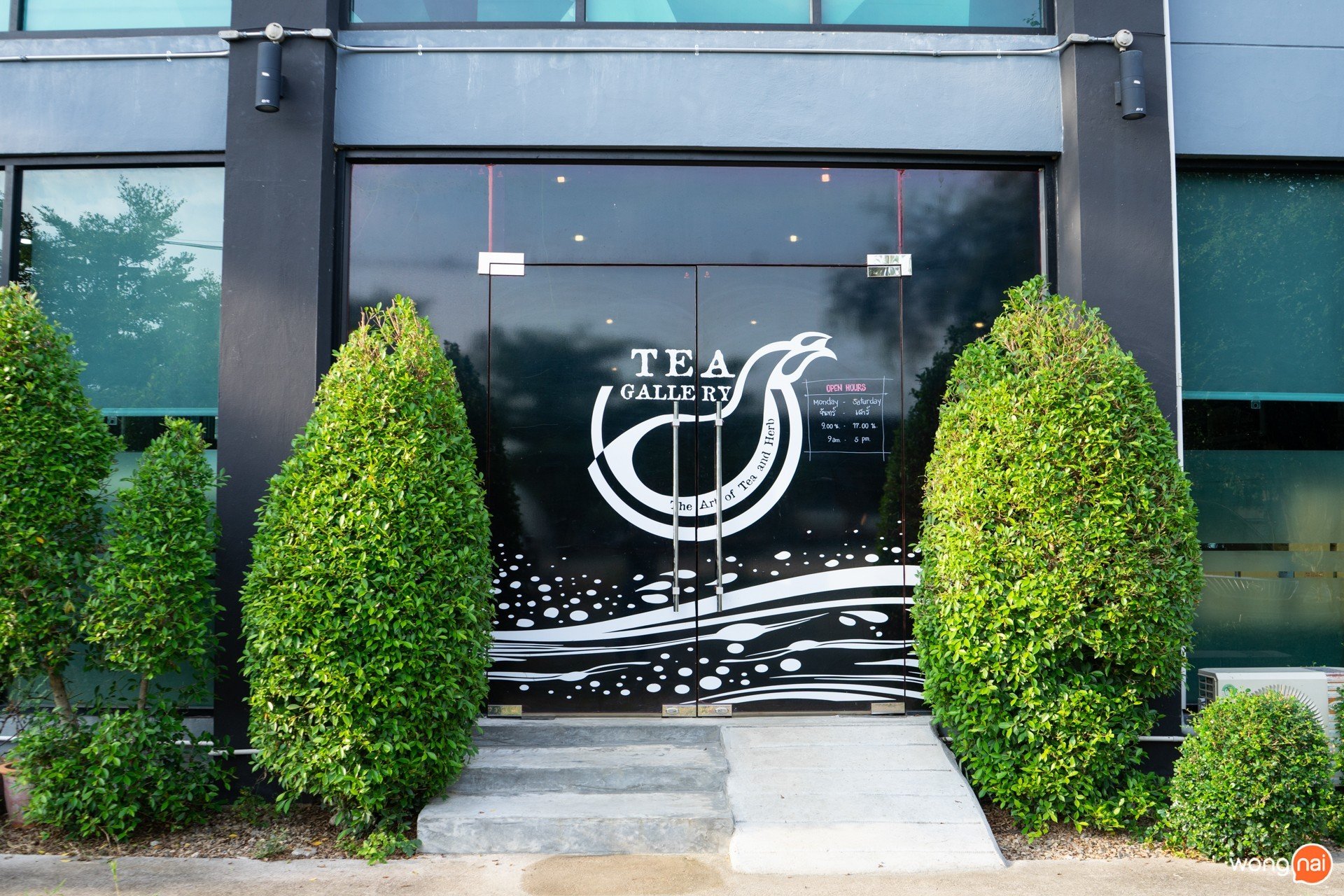 ร้าน Tea Gallery เชียงใหม่ ชาร้อน ร้านน้ำชา ดื่มชา เชียงใหม่