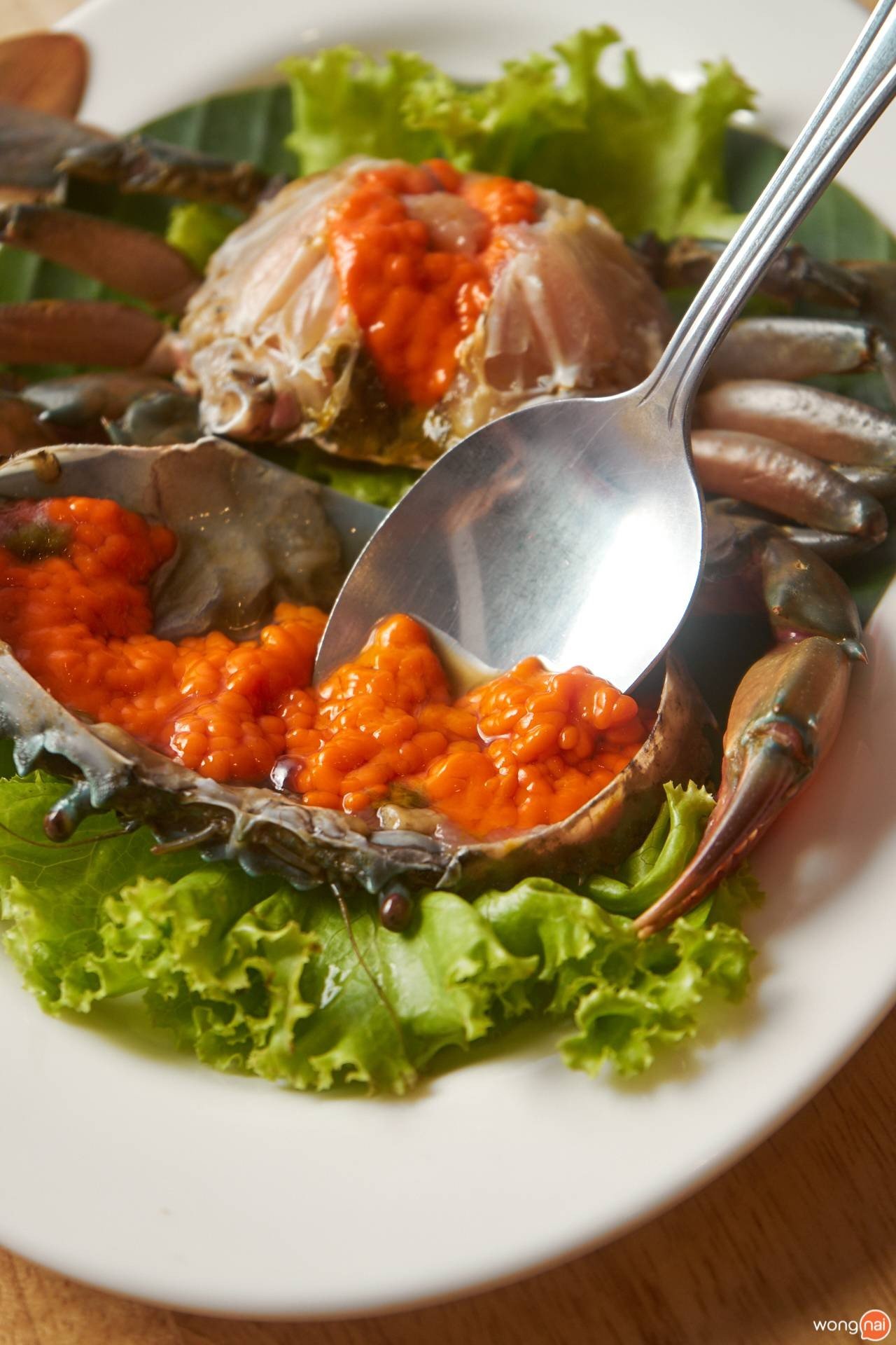 The Seafood Bar by ส้มตำคุณแดง ปูไข่ดอง