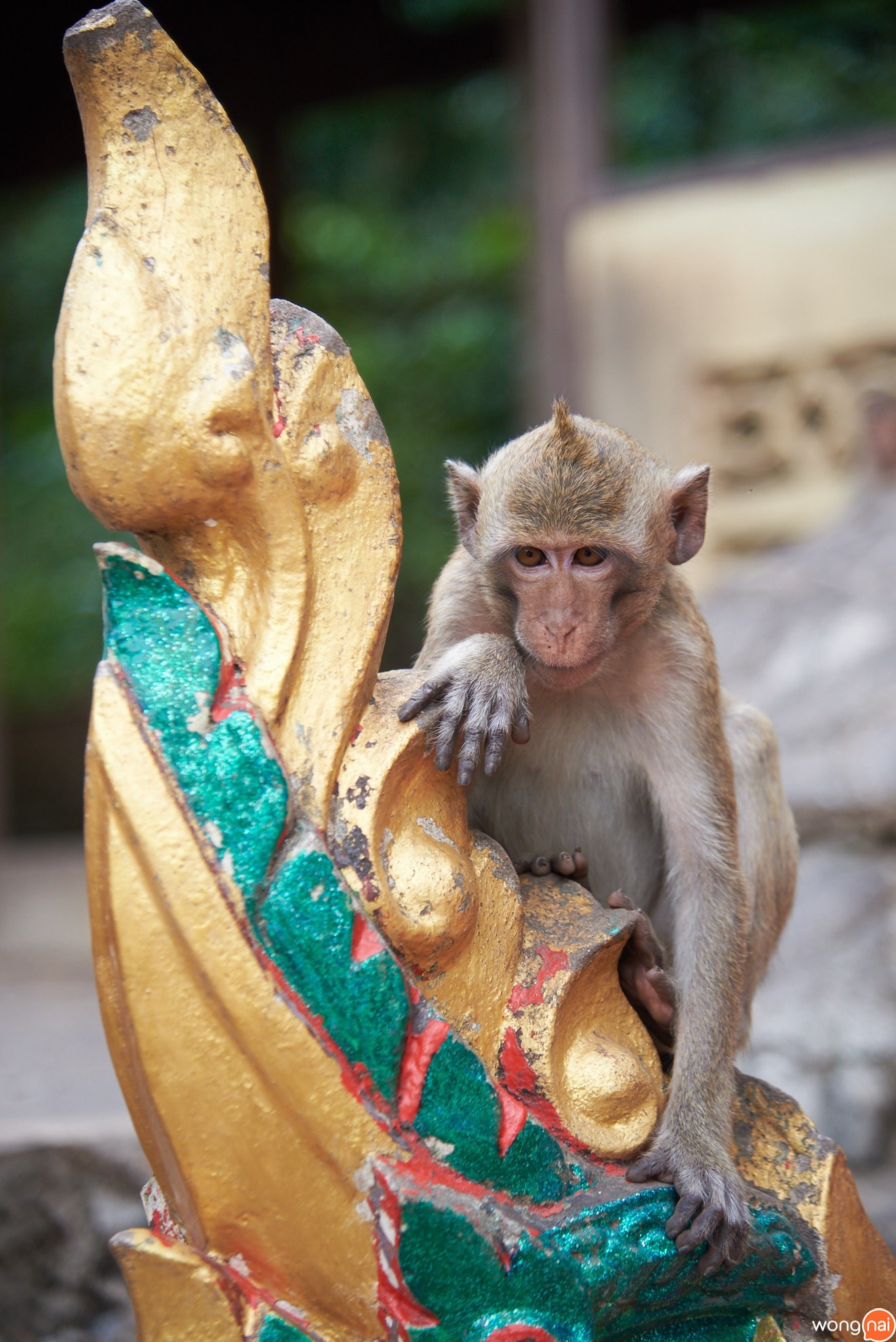 เขาหน่อ - เขาแก้ว, นครสวรรค์