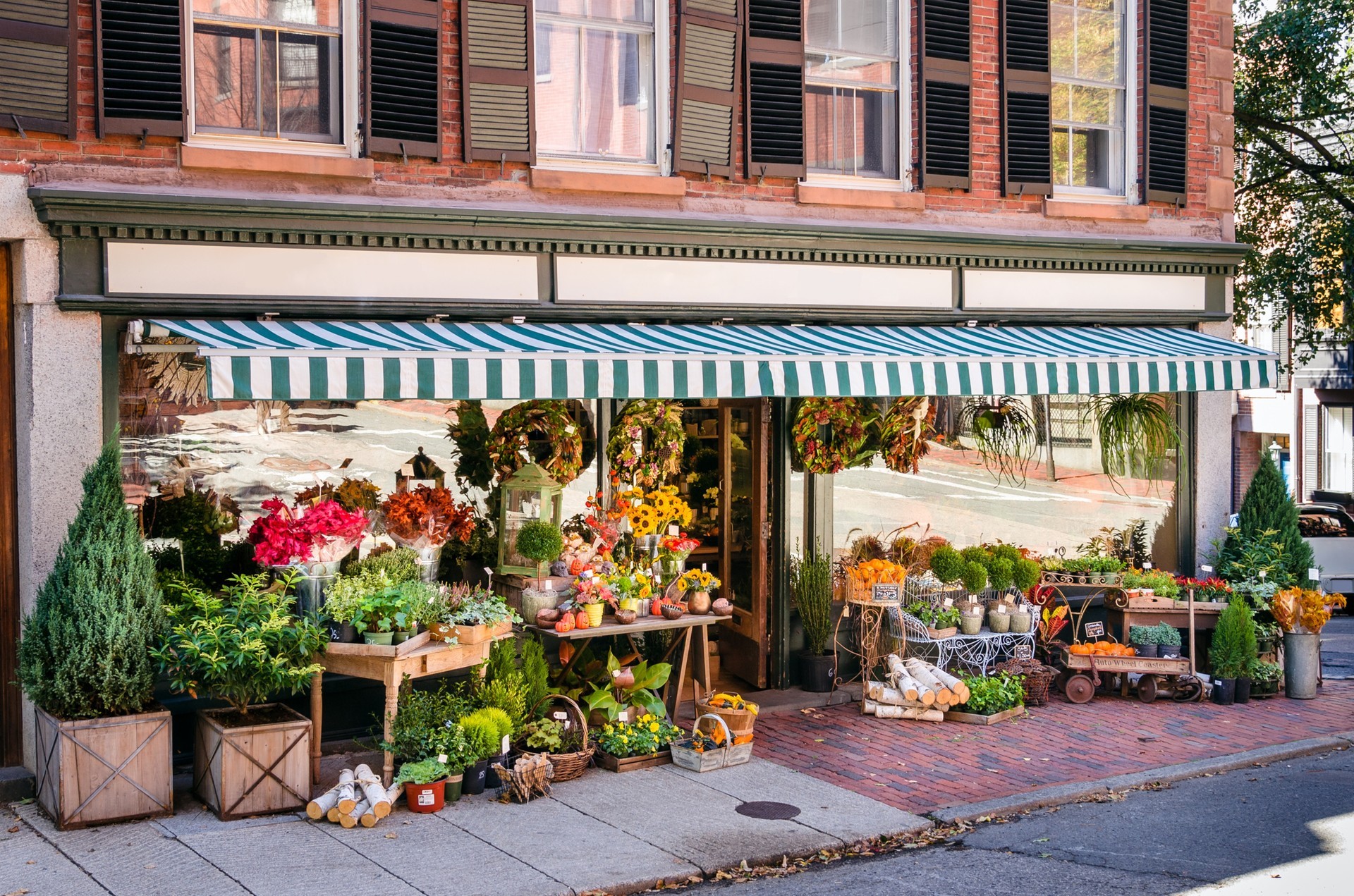 flower shop and cafe