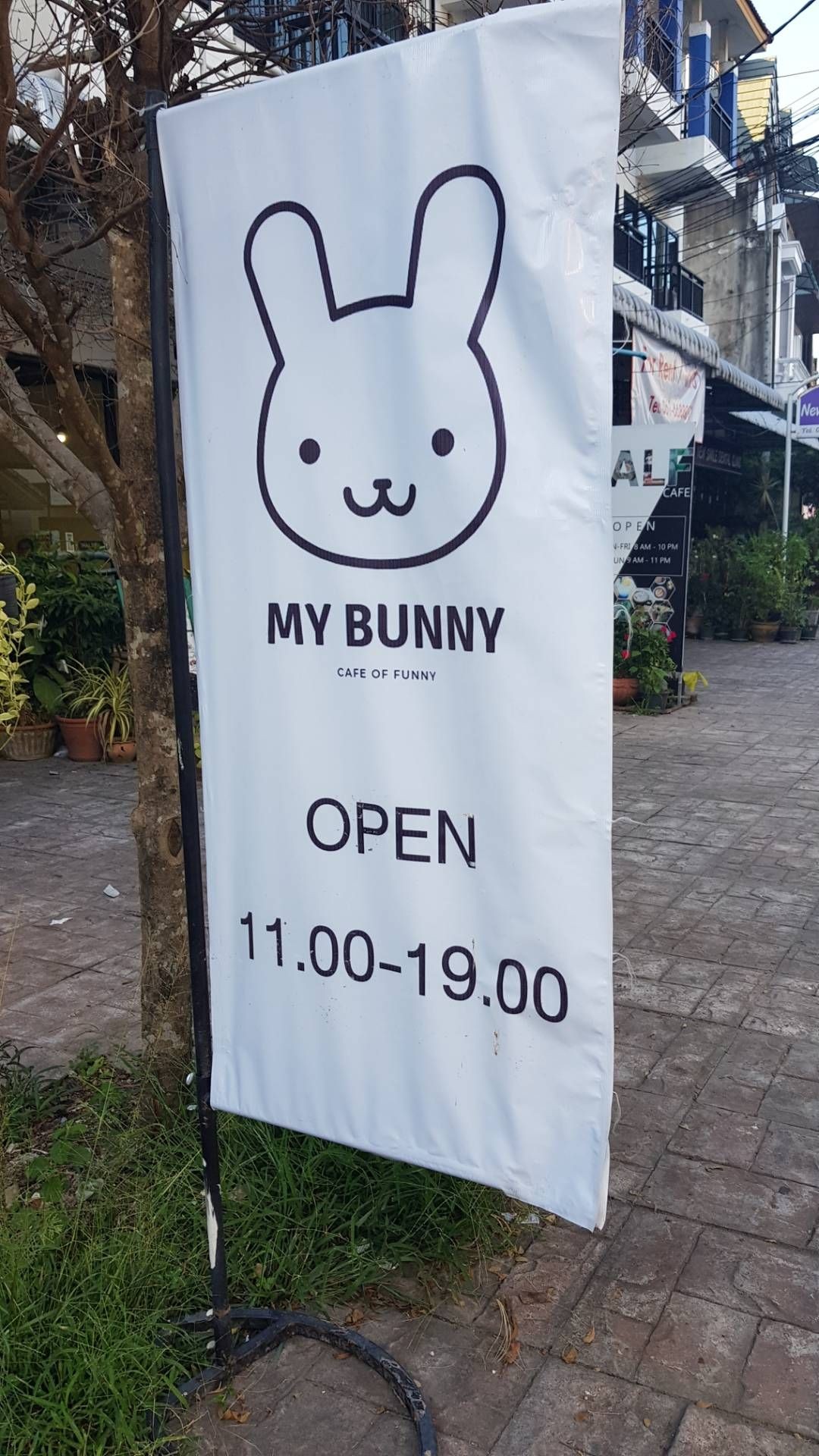 รีวิว My Bunny - คาเฟ่กระต่ายเล็กๆ