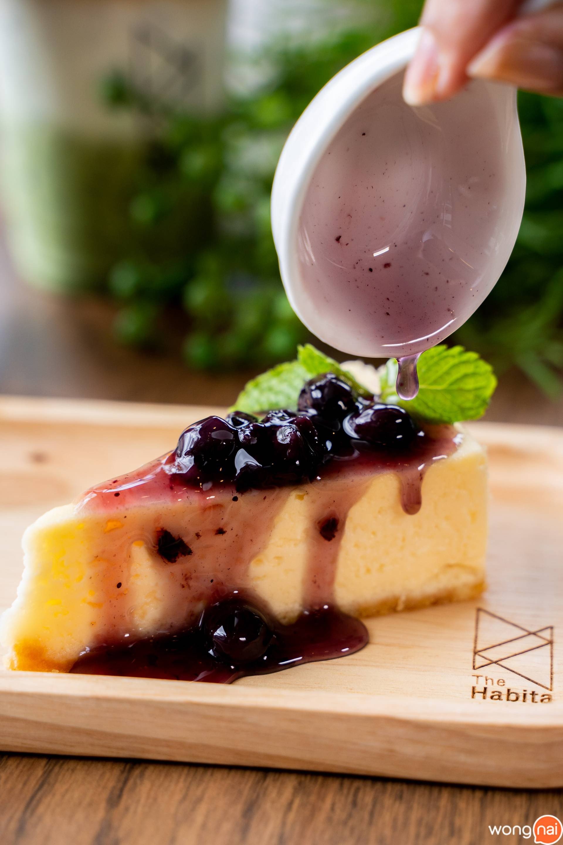Blueberry Cheese Cake