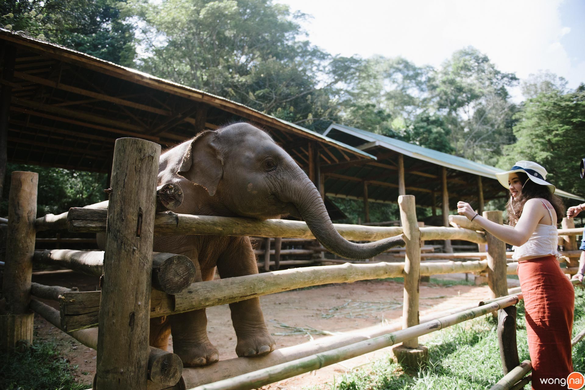 ที่เที่ยวแม่ริม, เที่ยวแม่ริม, ที่เที่ยวเชียงใหม่, Booking.com, ออนเซ็นเชียงใหม่, คาเฟ่เชียงใหม่, ที่พักแม่ริม