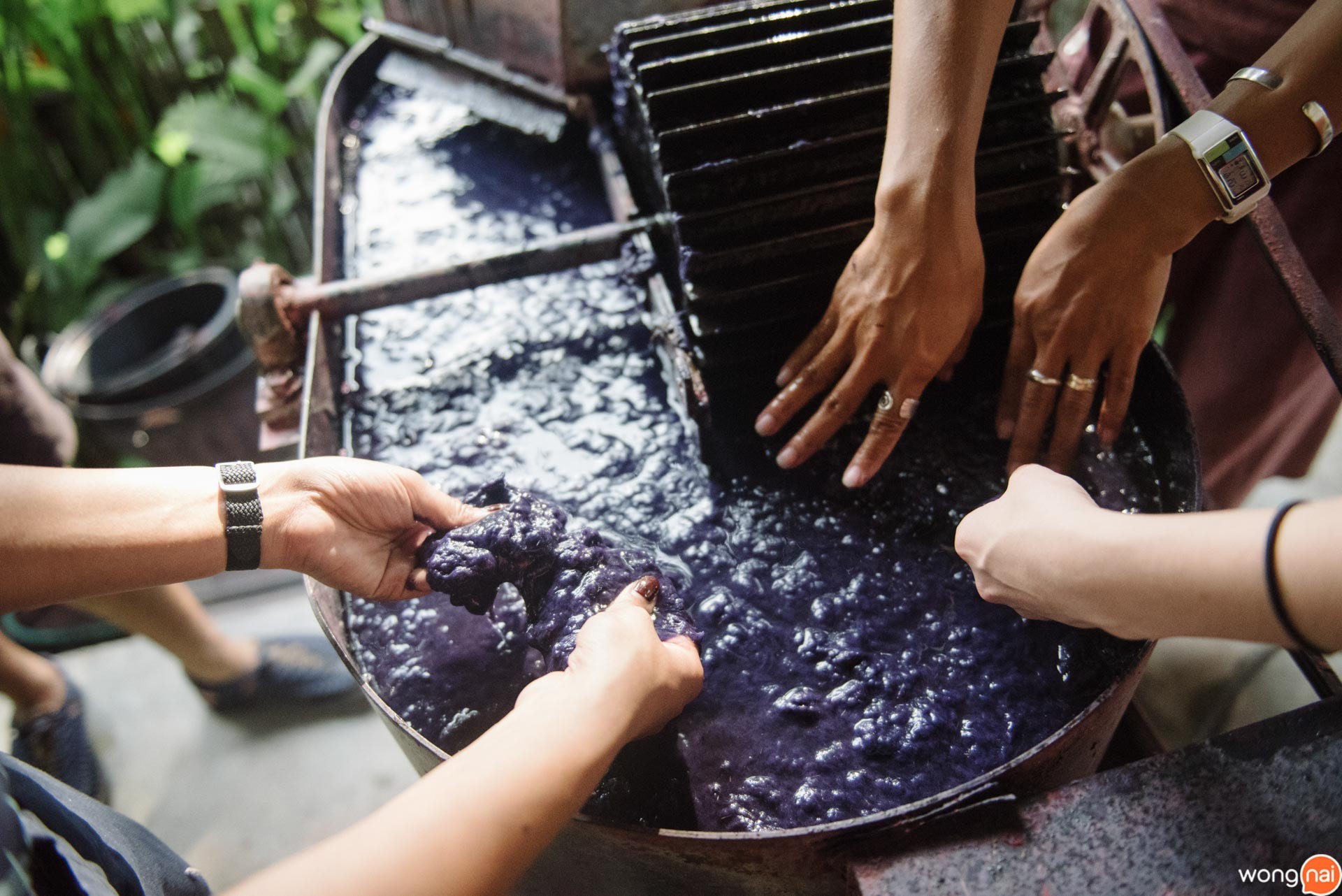 ที่เที่ยวแม่ริม, เที่ยวแม่ริม, ที่เที่ยวเชียงใหม่, Booking.com, ออนเซ็นเชียงใหม่, คาเฟ่เชียงใหม่, ที่พักแม่ริม