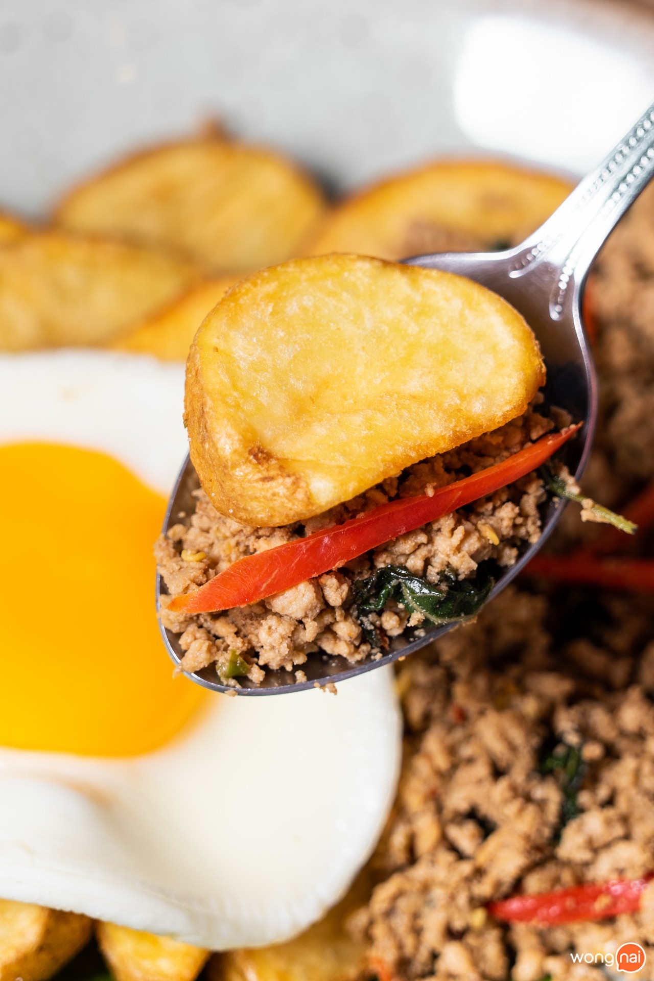 Burgers & Springrolls , ร้านอาหารฟิวชันเชียงใหม่