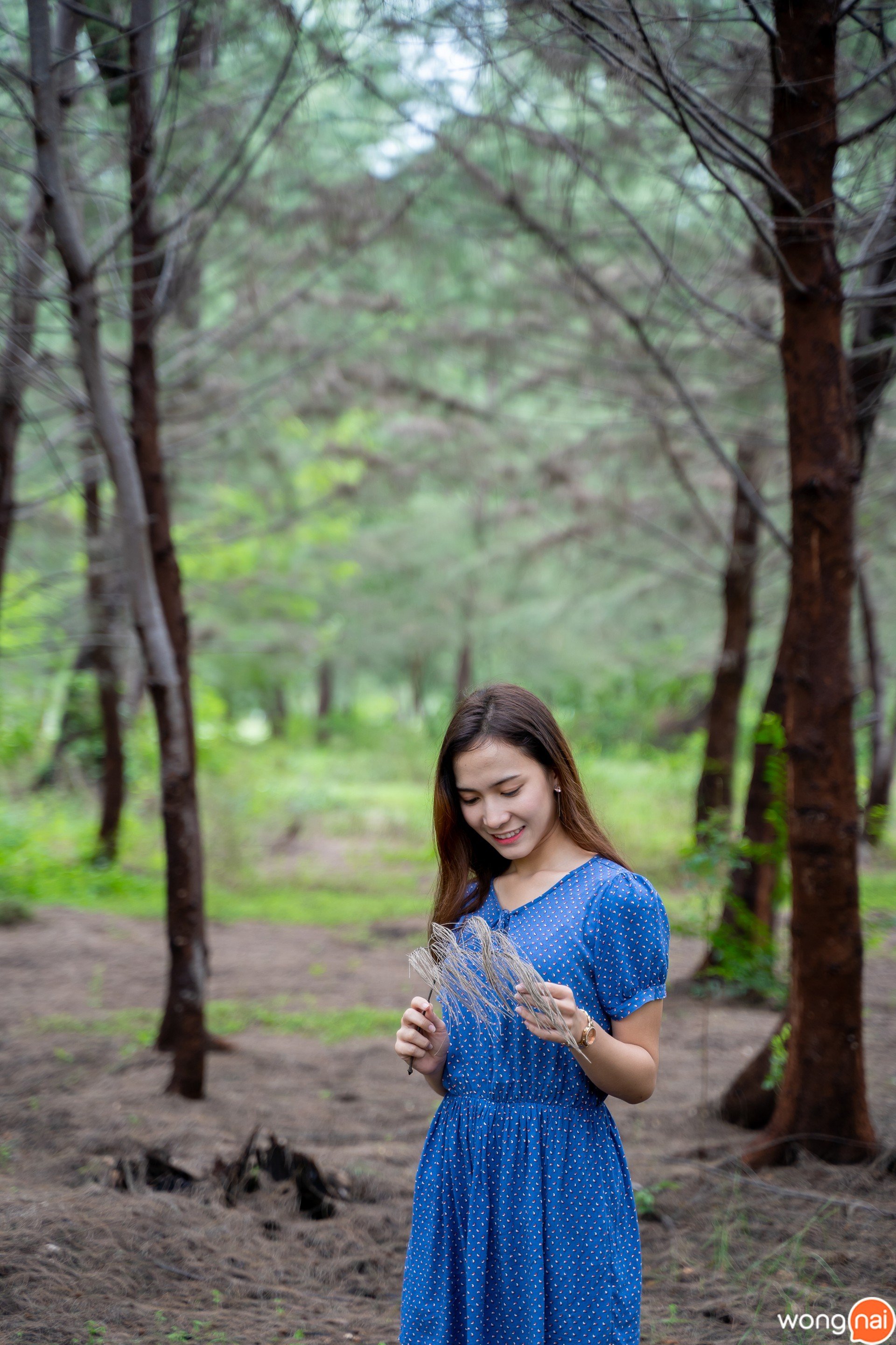แวะถ่ายรูปกับป่าสนกันสักนิด
