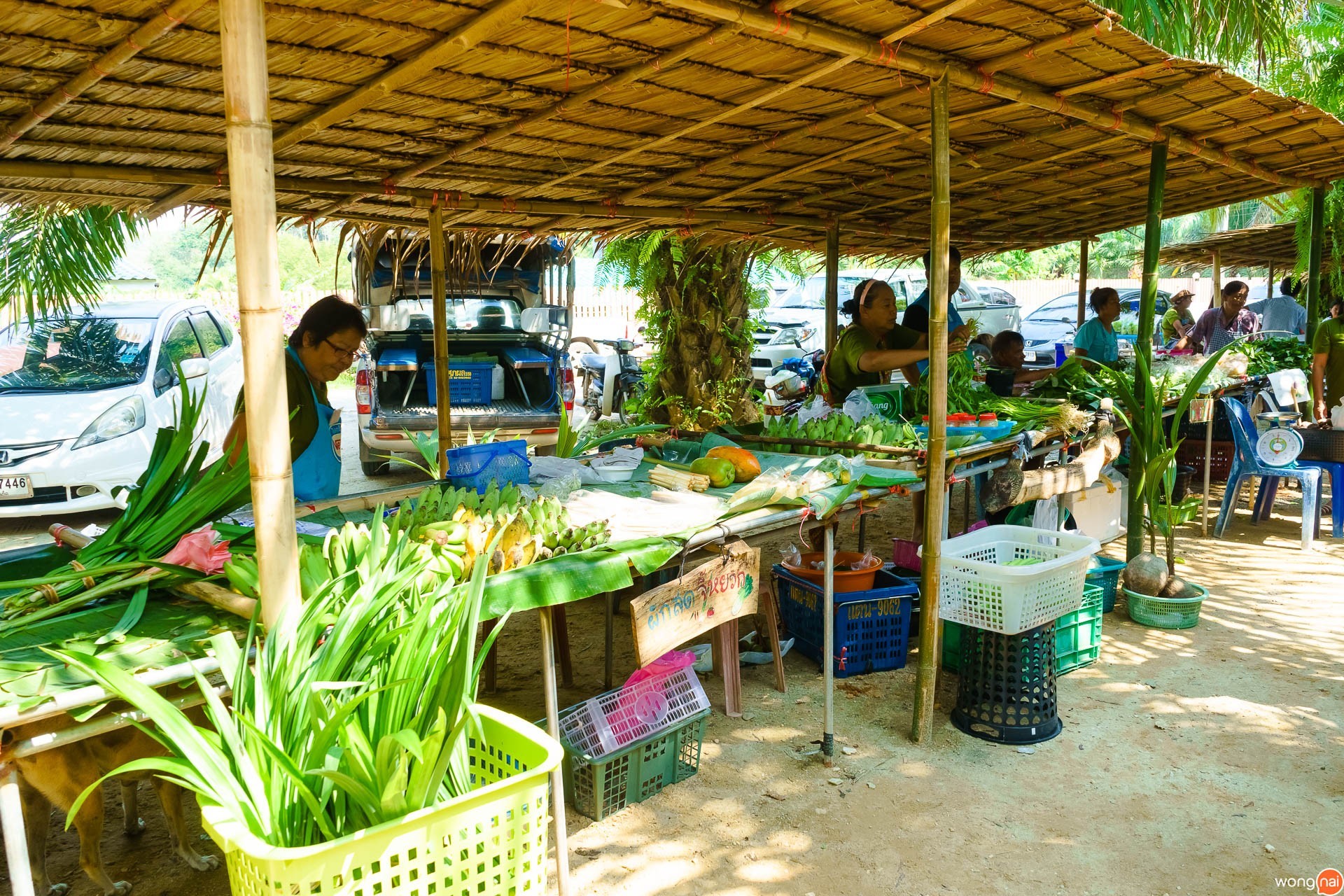 ที่เที่ยวพังงา , เที่ยวพังงา , ที่เที่ยวใกล้ภูเก็ต, ที่เที่ยวหลาดลองแล, หลาดลองแล