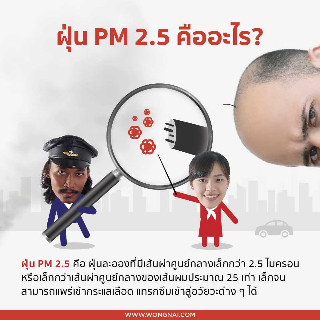PM 2.5