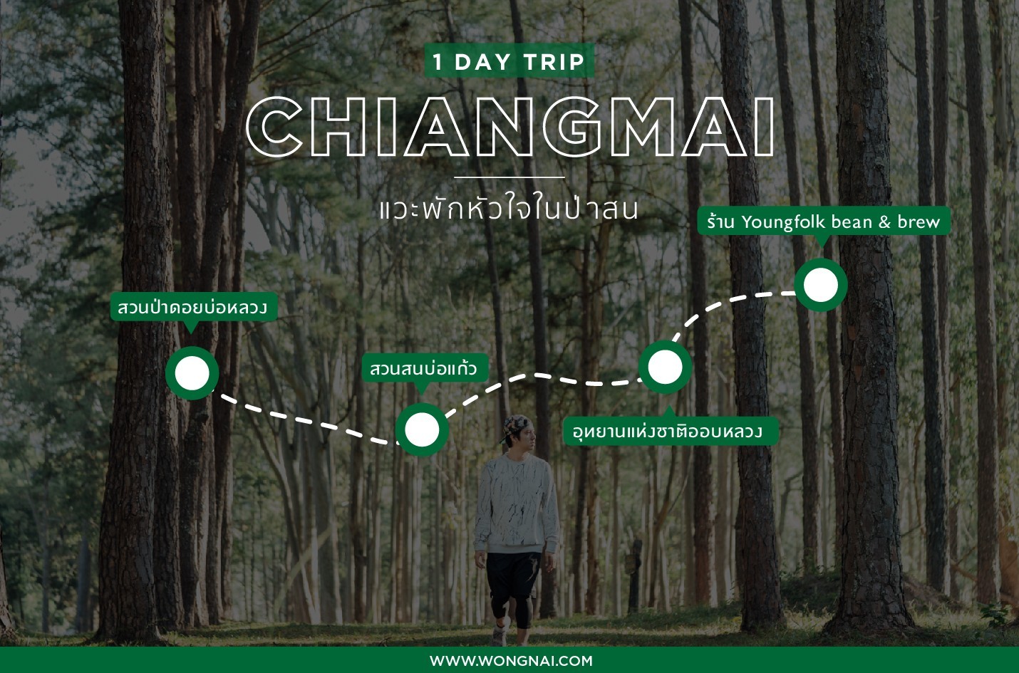 เที่ยวเชียงใหม่ , ที่เที่ยวเชียงใหม่ , อุทยานแห่งชาติออบหลวง , สวนสนบ่อแก้ว , สวนป่าดอยบ่อหลวง, เที่ยวป่าสนเชียงใหม่