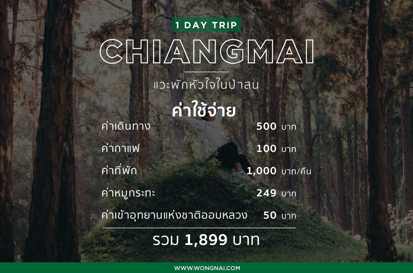 เที่ยวเชียงใหม่ , ที่เที่ยวเชียงใหม่ , อุทยานแห่งชาติออบหลวง , สวนสนบ่อแก้ว , สวนป่าดอยบ่อหลวง, เที่ยวป่าสนเชียงใหม่