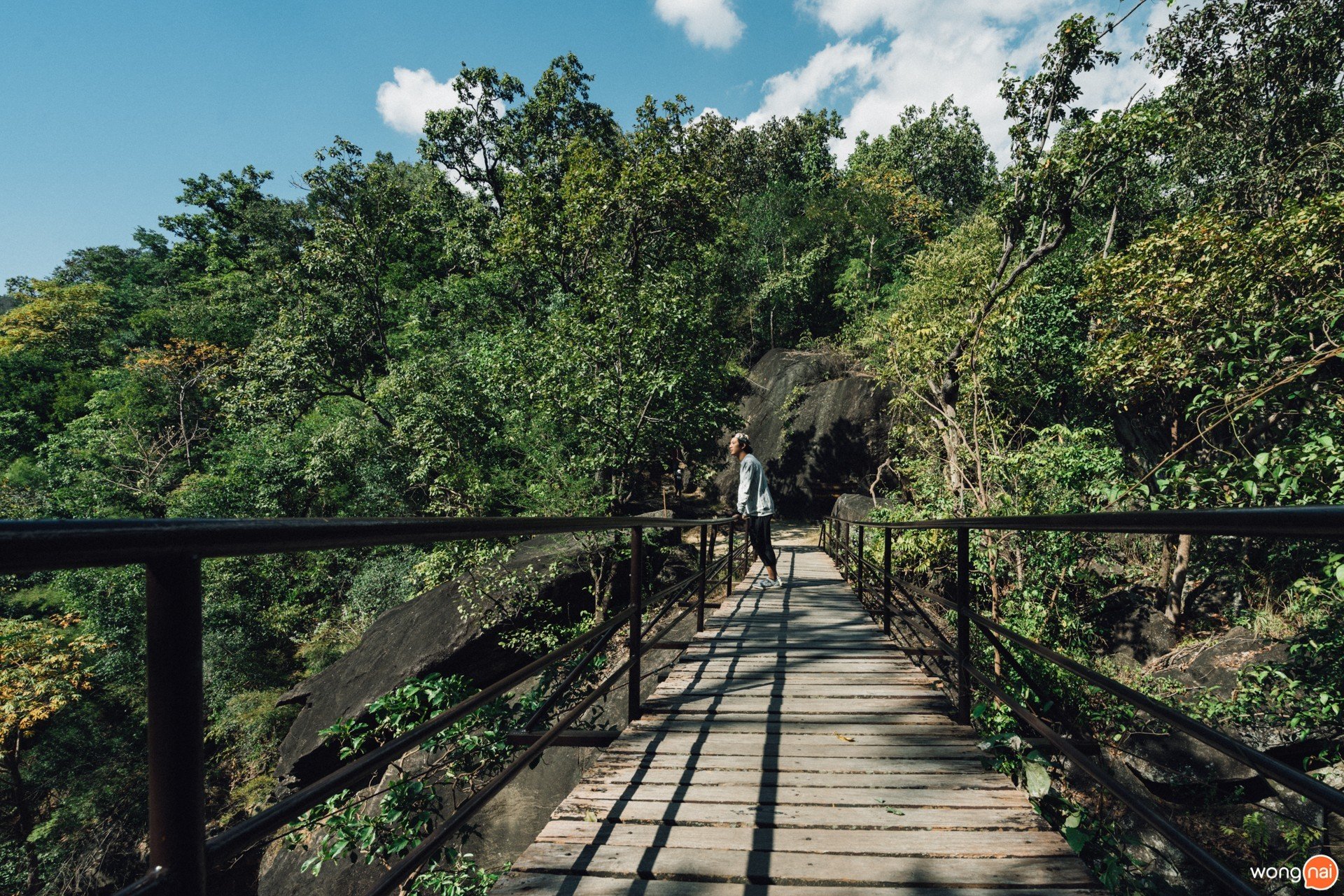 เที่ยวเชียงใหม่ , ที่เที่ยวเชียงใหม่ , อุทยานแห่งชาติออบหลวง , สวนสนบ่อแก้ว , สวนป่าดอยบ่อหลวง, เที่ยวป่าสนเชียงใหม่