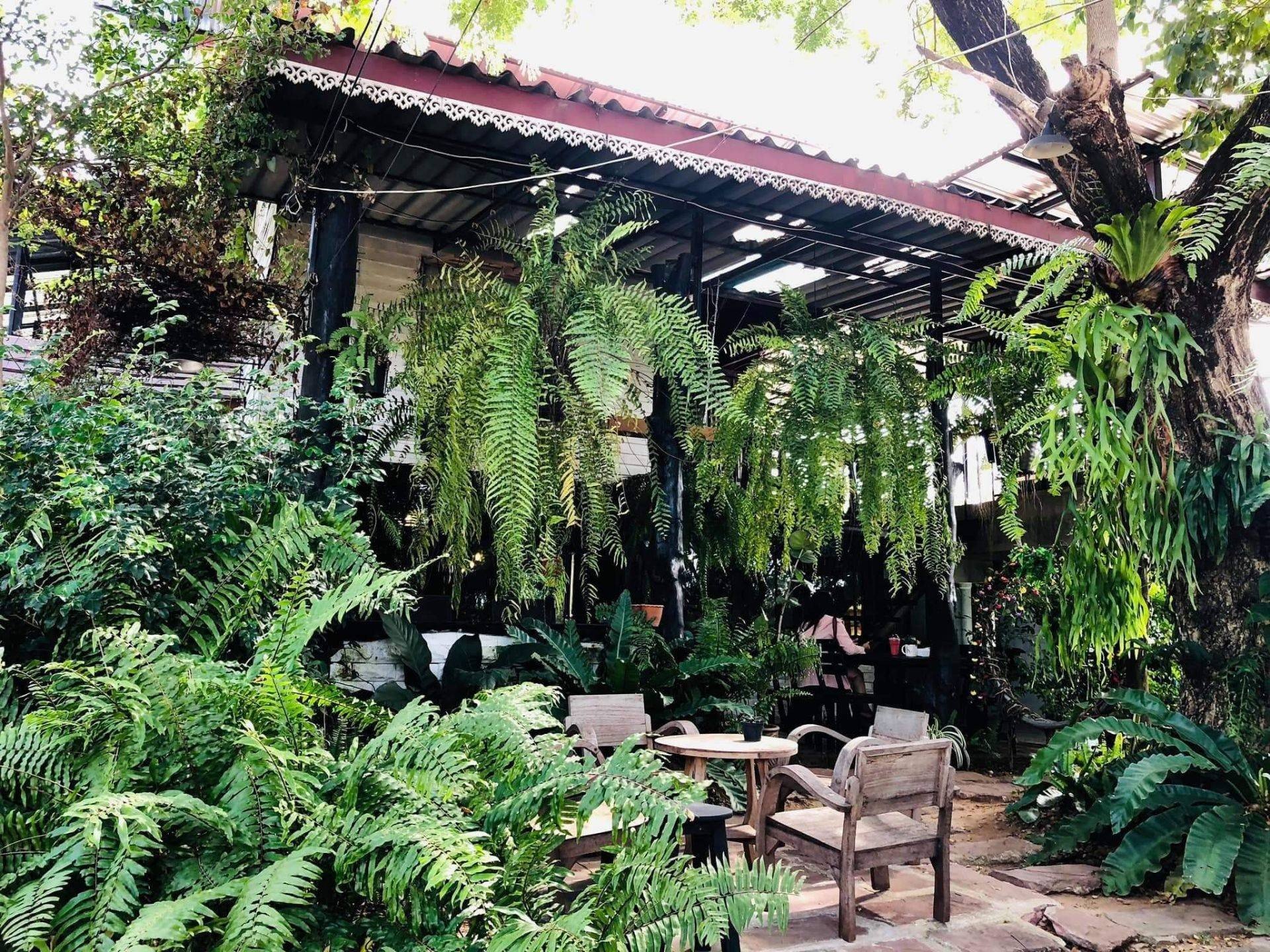 รีวิว SAYA cafe & restaurant ชัยภูมิ บรรยากาศดี อาหารอร่อย กาแฟอร่อย