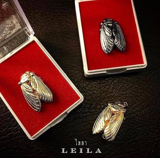 แมลงภู่คำหลวง เป็นที่นิยมของทุกคนมากค่ะ ถ้าใครเพิ่งเริ่มเข้าวงการสายมูเตลู