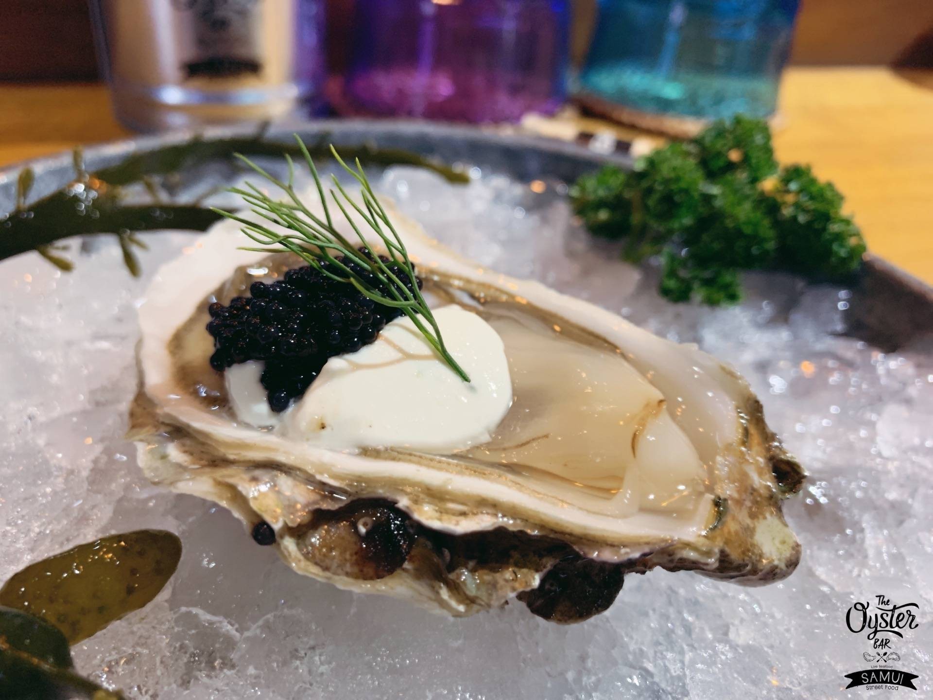 ร้าน The Oyster bar x Samui หาดละไม รีวิวร้านอาหาร