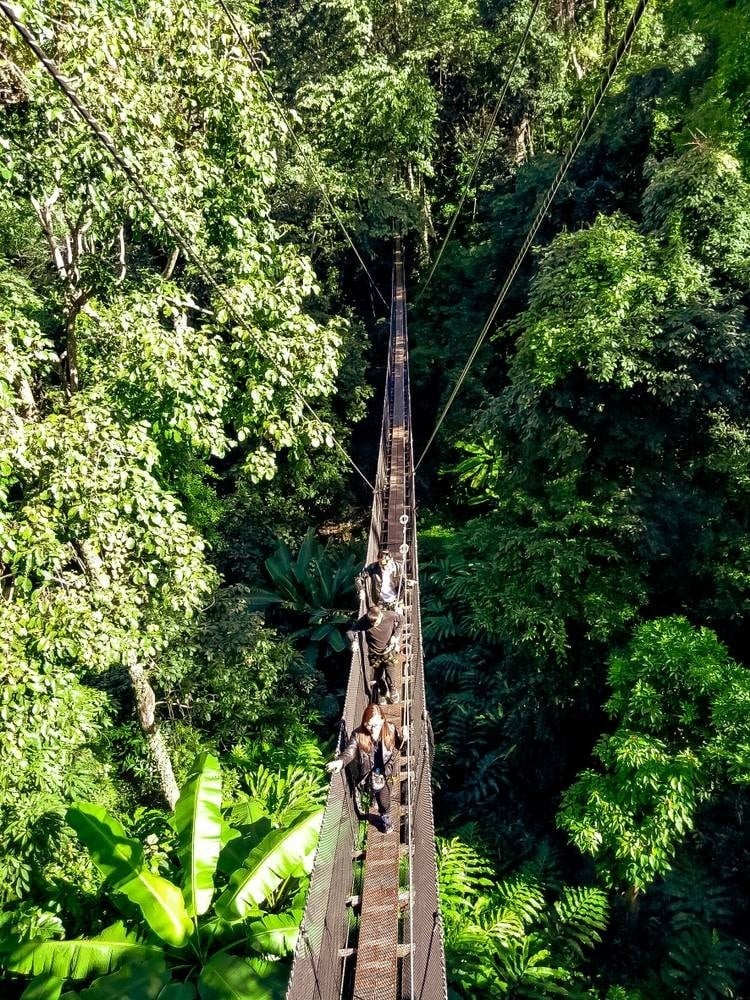 Doi Tung Tree Top Walk-ที่เที่ยวเชียงราย