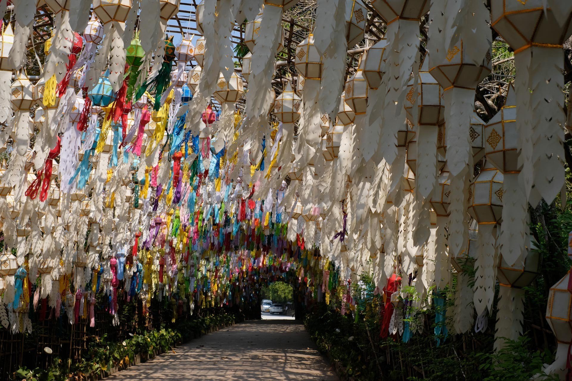 ไร่เชิญตะวัน-ที่เที่ยวเชียงราย