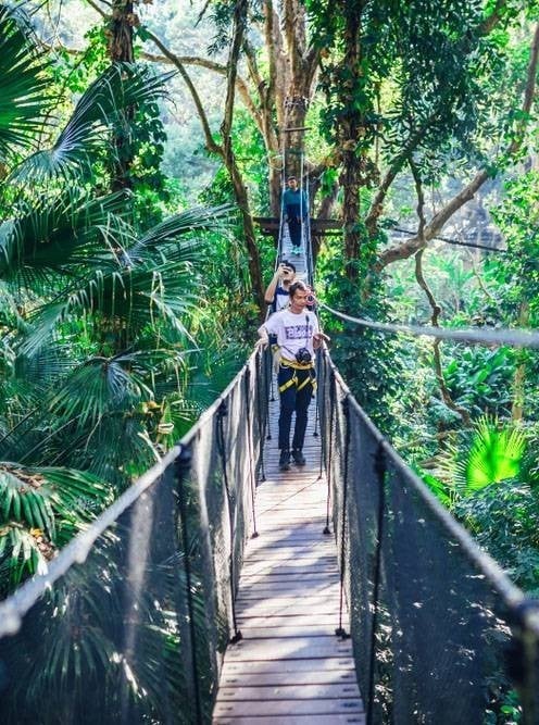 Doi Tung Tree Top Walk-ที่เที่ยวเชียงราย