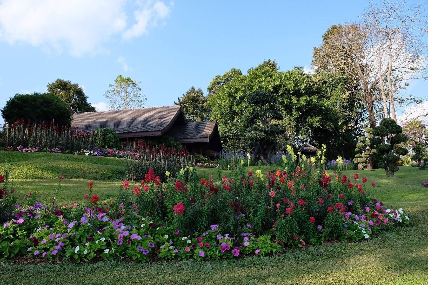 พระตำหนักดอยตุง-ที่เที่ยวเชียงราย