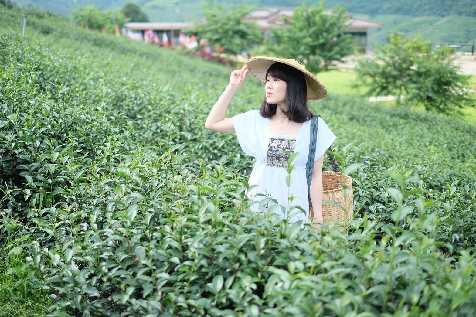 ดอยแม่สลองไร่ชา 101-ที่เที่ยวเชียงราย