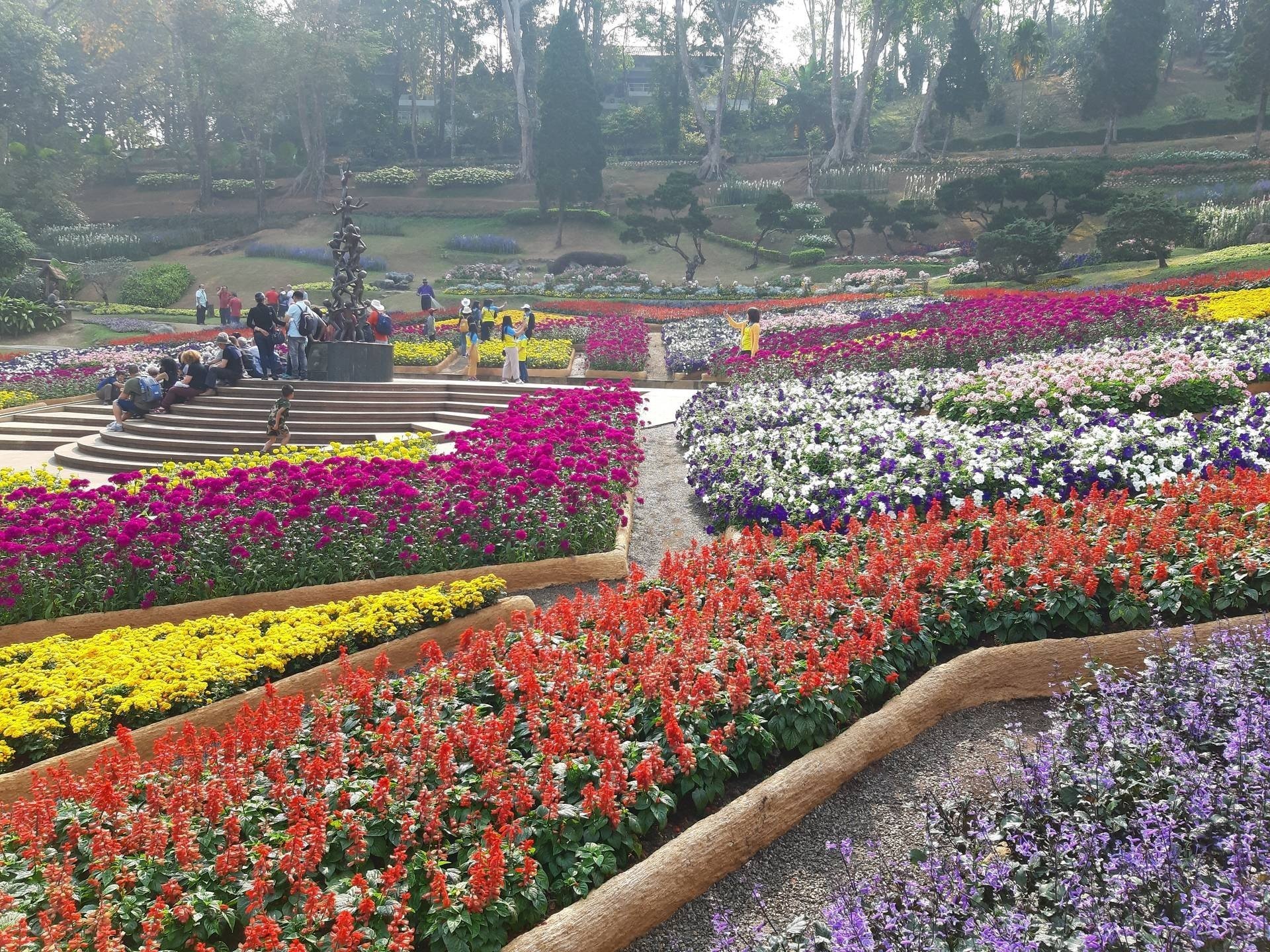 สวนแม่ฟ้าหลวง-ที่เที่ยวเชียงราย
