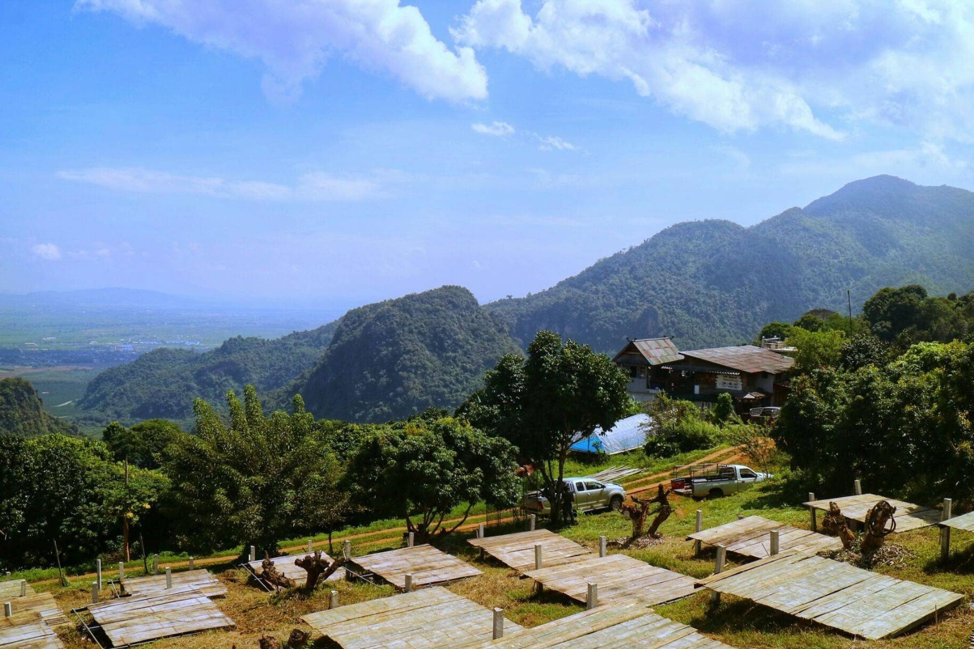 ดอยผาหมี-ที่เที่ยวเชียงราย