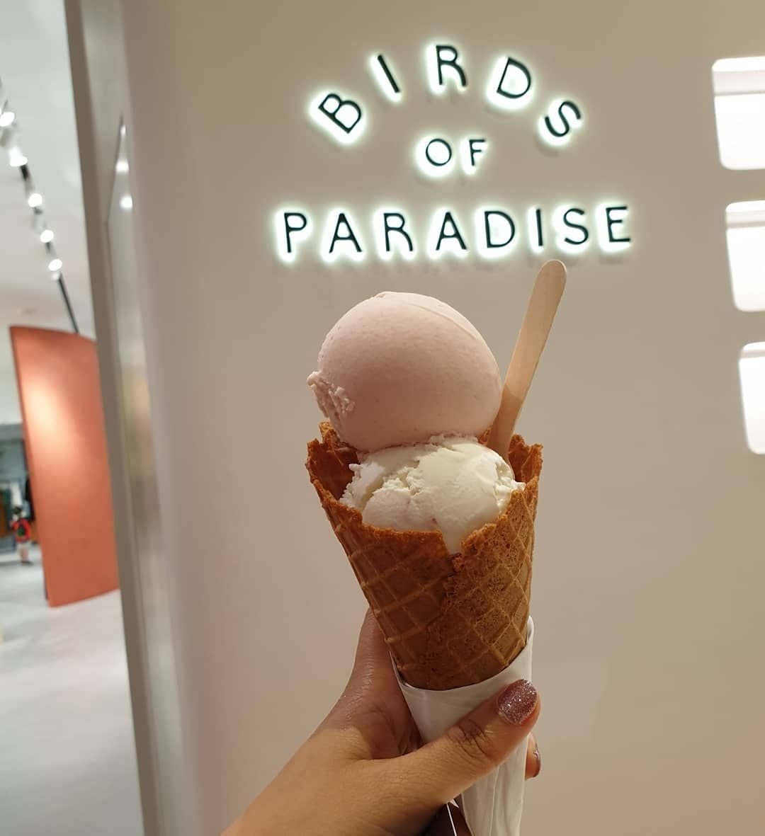 รีวิว Bird Of Paradise Gelato Boutique Jewel ไอติมคิวยาวยั่วๆจ้า