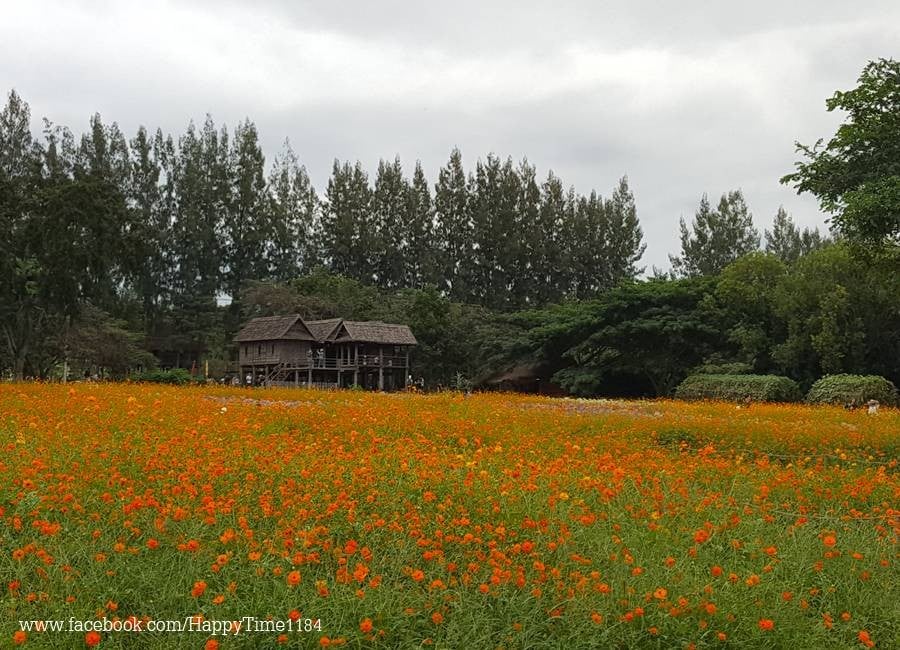 รูป Jim Thompson Farm