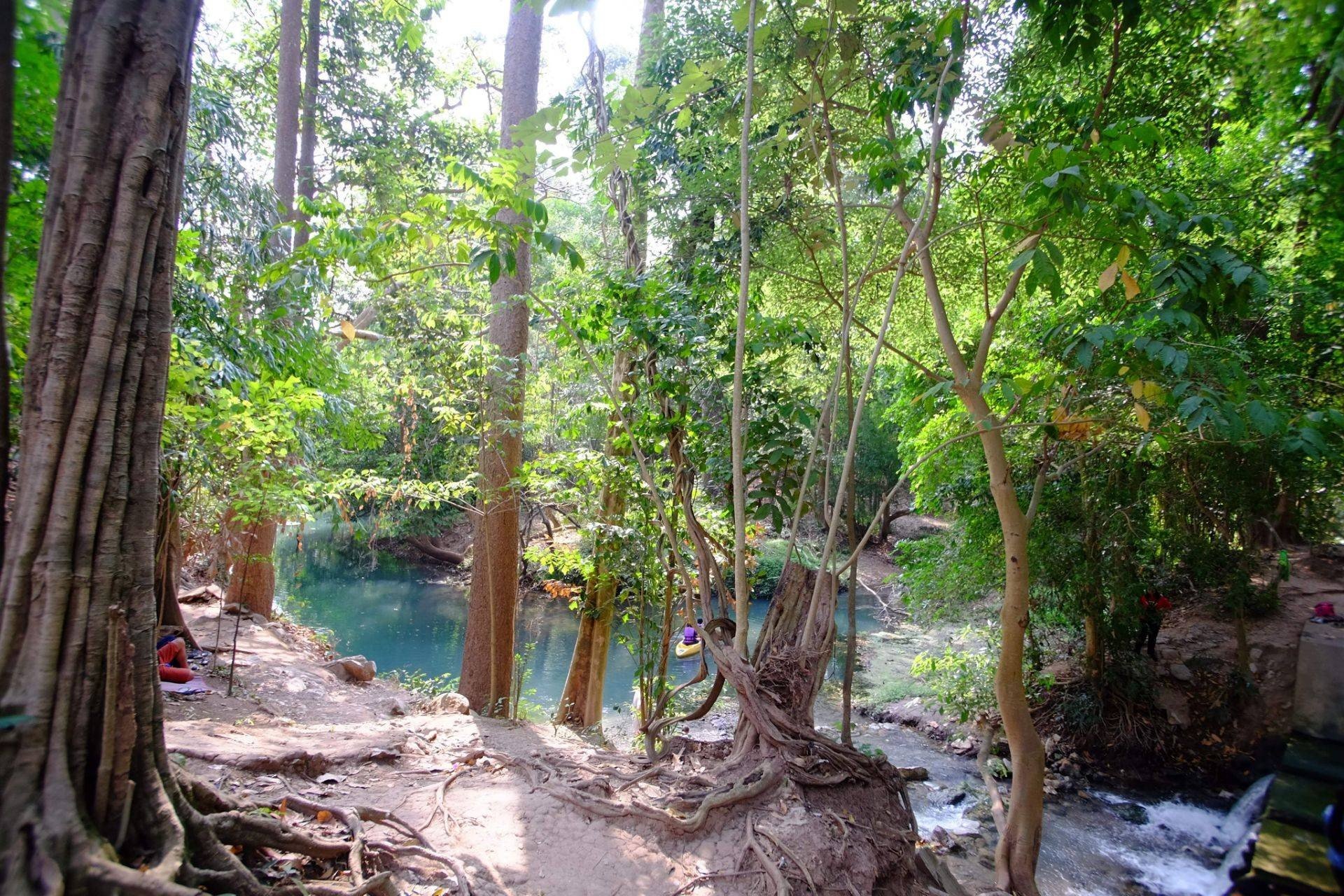 รีวิว น้ำผุด เขาใหญ่ - สระน้ำผุด แหล่งพักผ่อน น้ำใสไหลเย็น - Wongnai