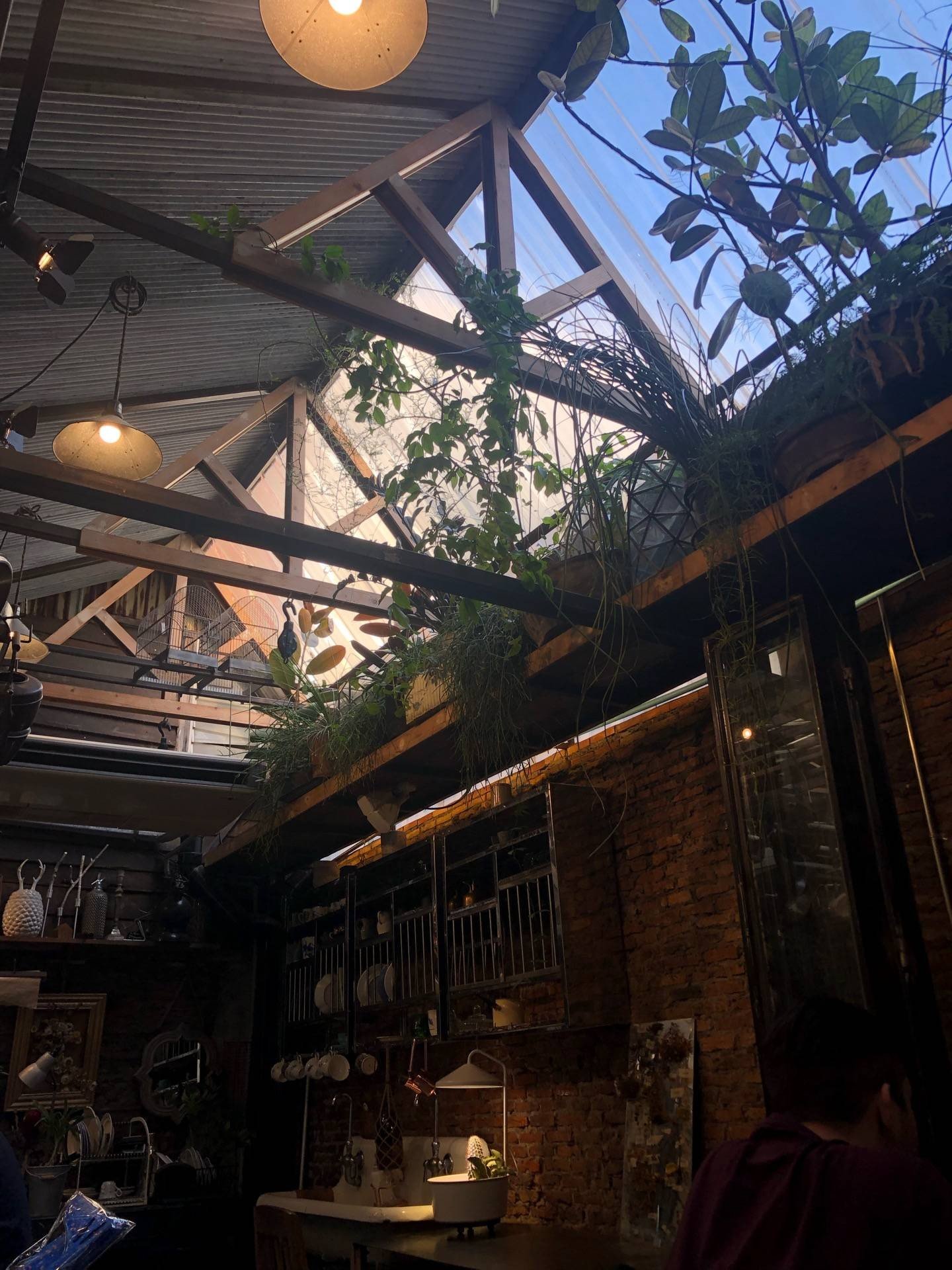 รีวิว Wallflowers Cafe Wallflower cafe Wongnai