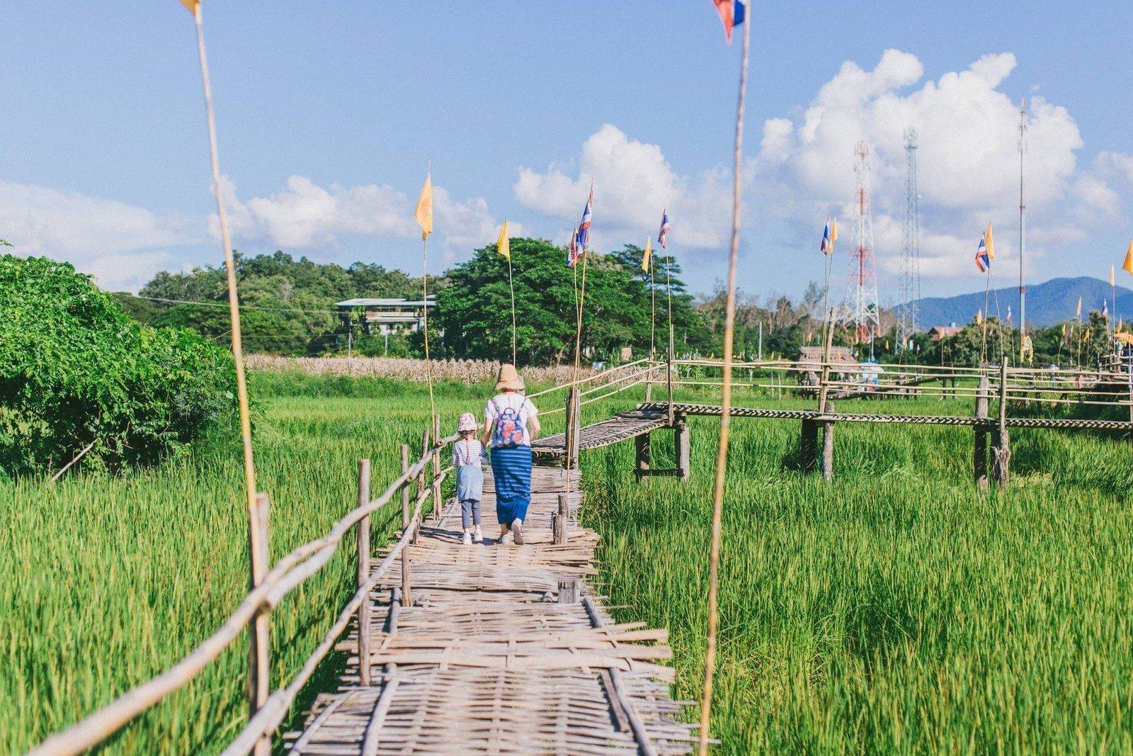 ภาพที่เที่ยวลำปาง