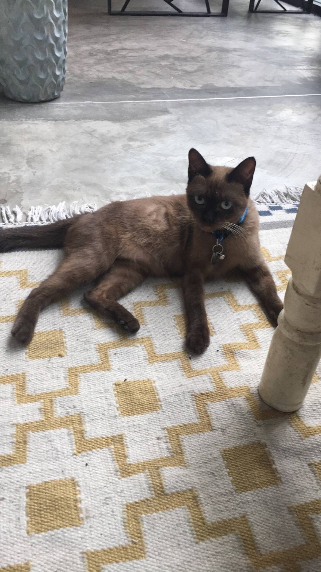 รีวิว BAKER X FLORIST พระราม 9 ซอย 41 ตื่นเช้ามาเพราะเห็ดหอม