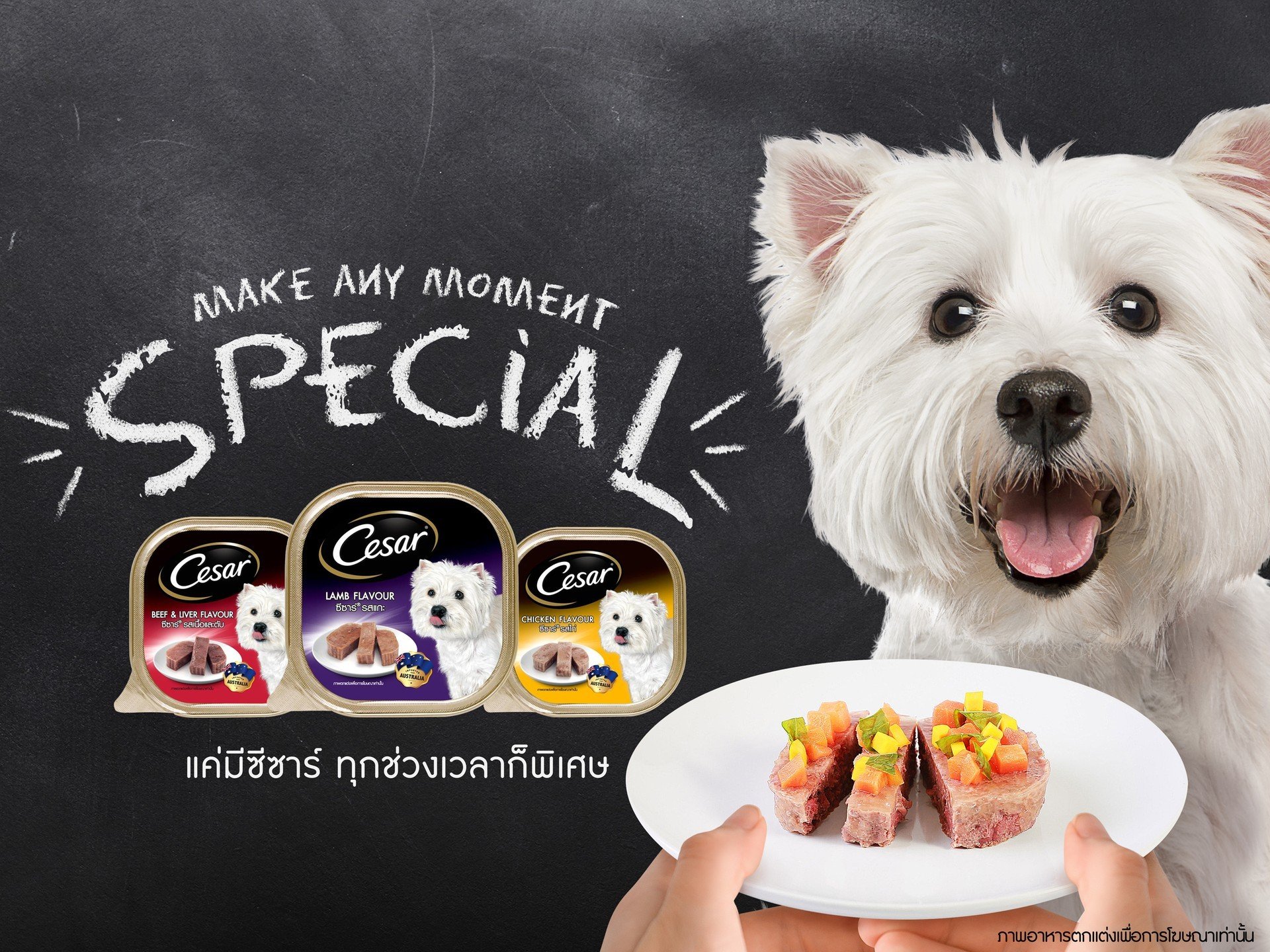 10 คาเฟ่หมาสุดน่ารัก บรรยากาศดีต่อใจ ไปสักครั้งหลงรักแน่นอน!