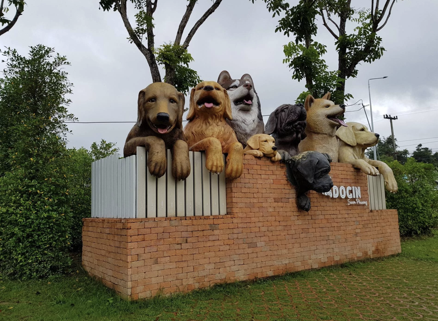 Dogin ราชบุรี