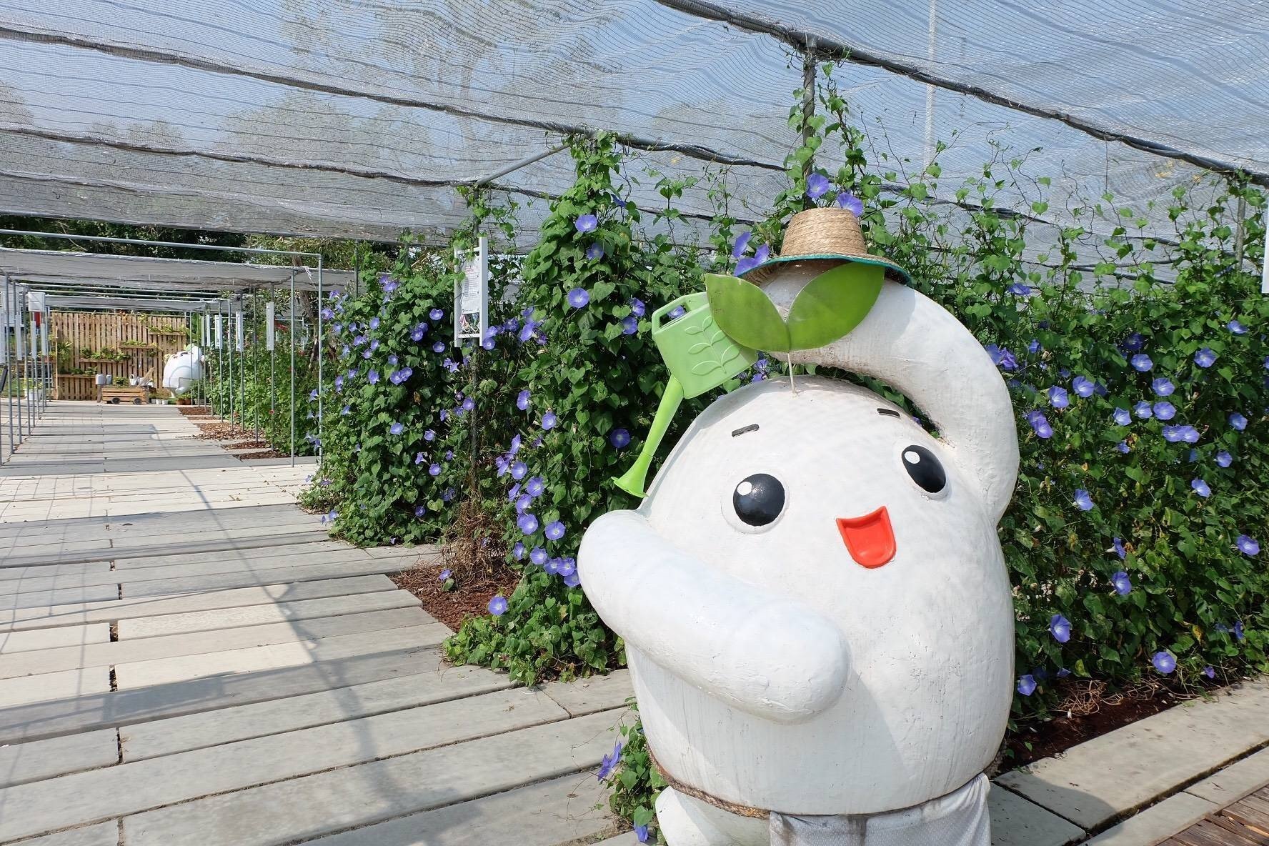 Coro Field ที่เที่ยวฟาร์มในราชบุรี