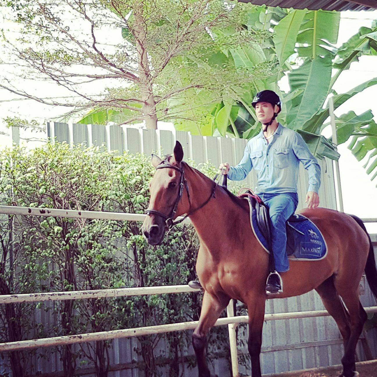 รูป Rodeo Horse Riding - Wongnai