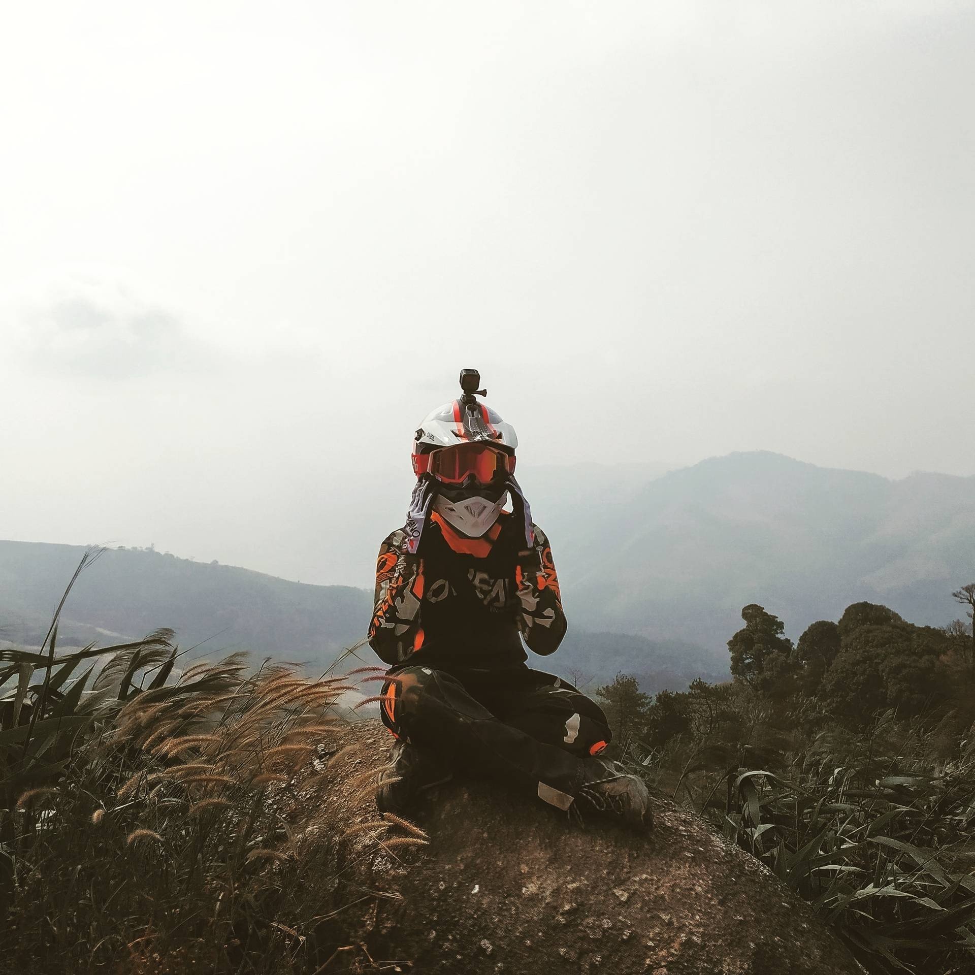 writerProfile