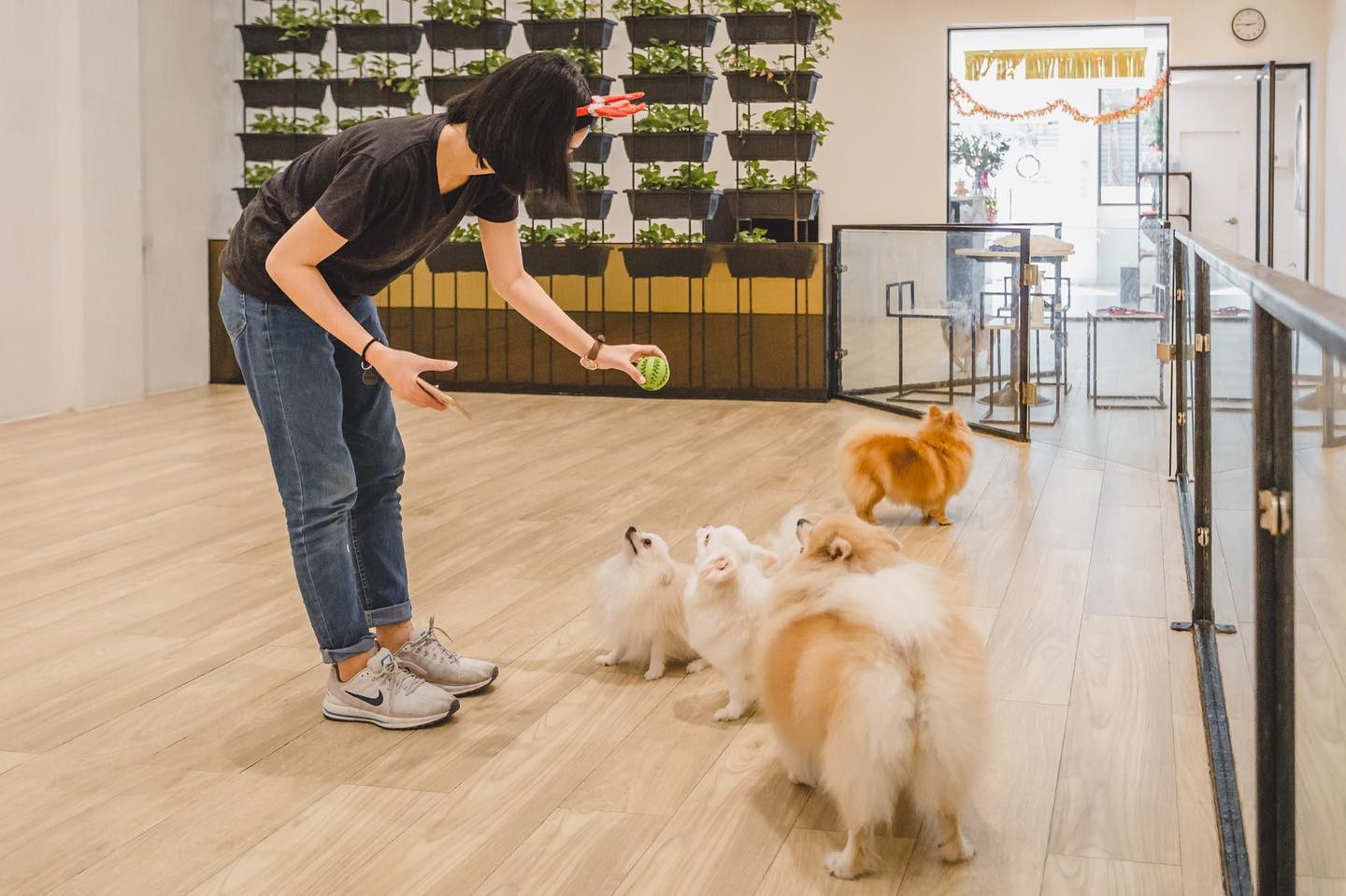 รูป Pet Hotel Bangkok