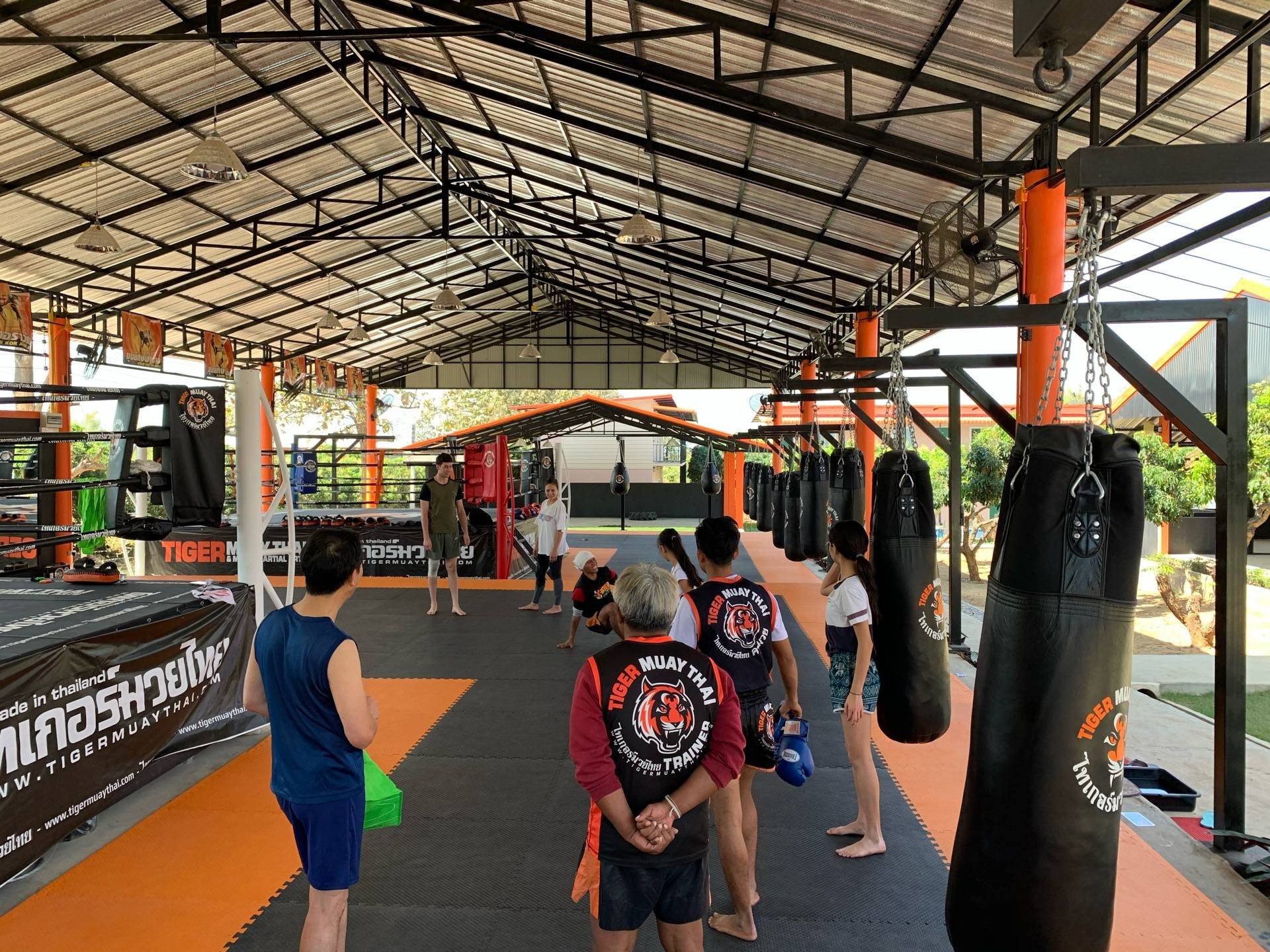 Tiger Muay Thai And Mma Training Camp Chiang Mai Thailand รีวิวสถานที่ท่องเที่ยว Wongnai