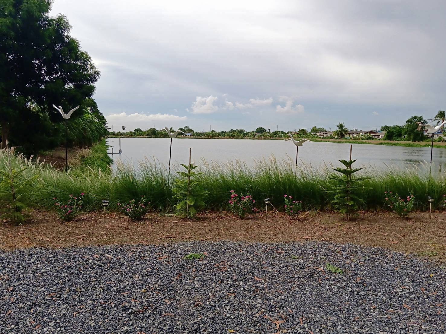 รูป The fish house